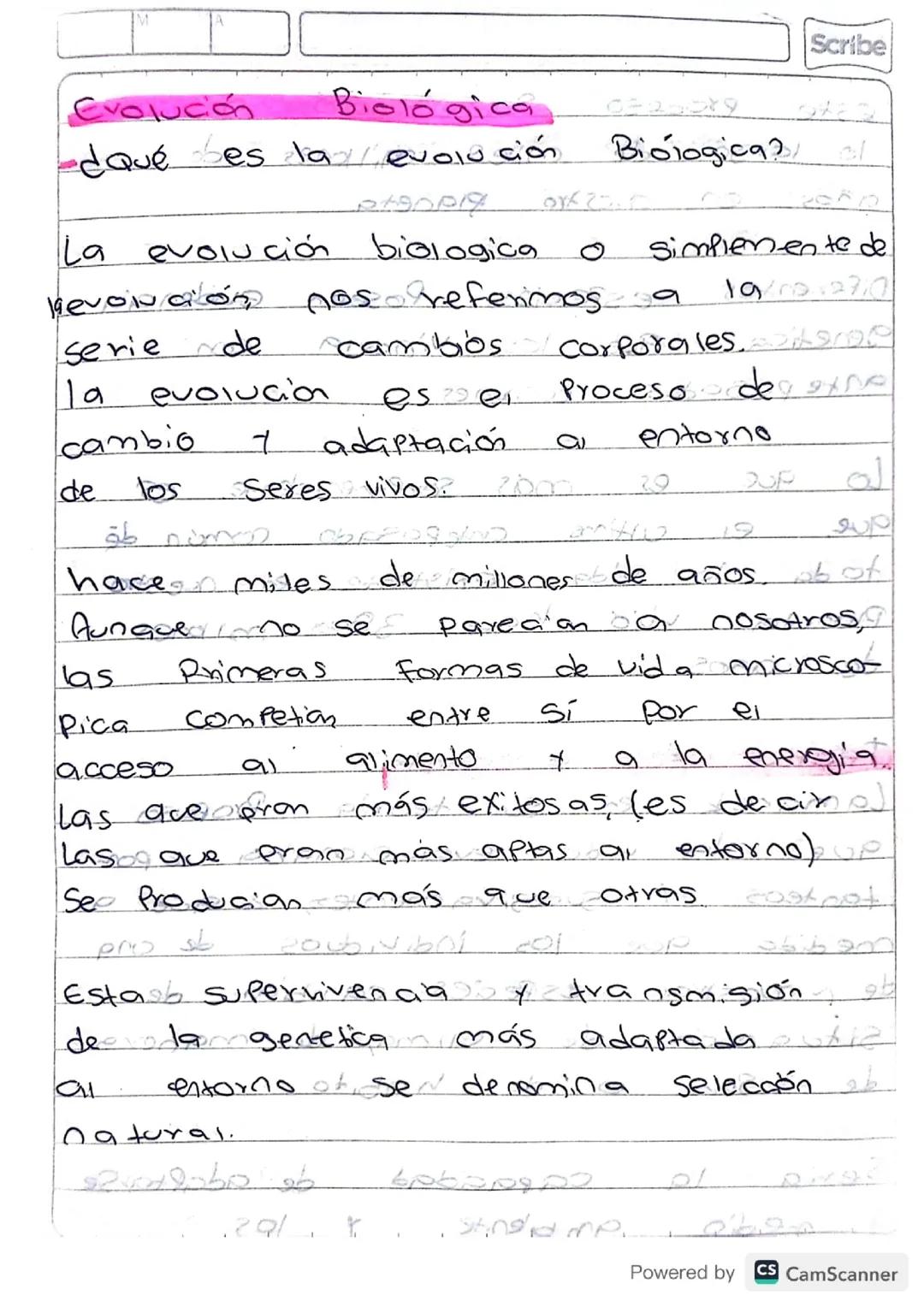 Evolución Biologica