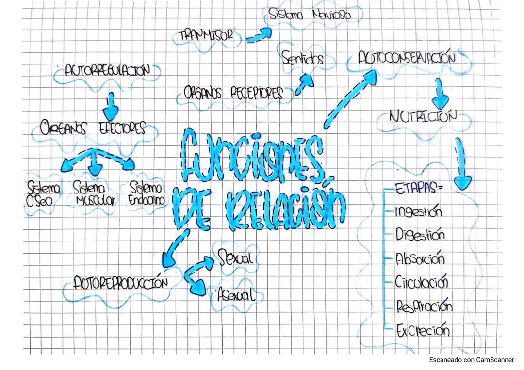 Función de relación