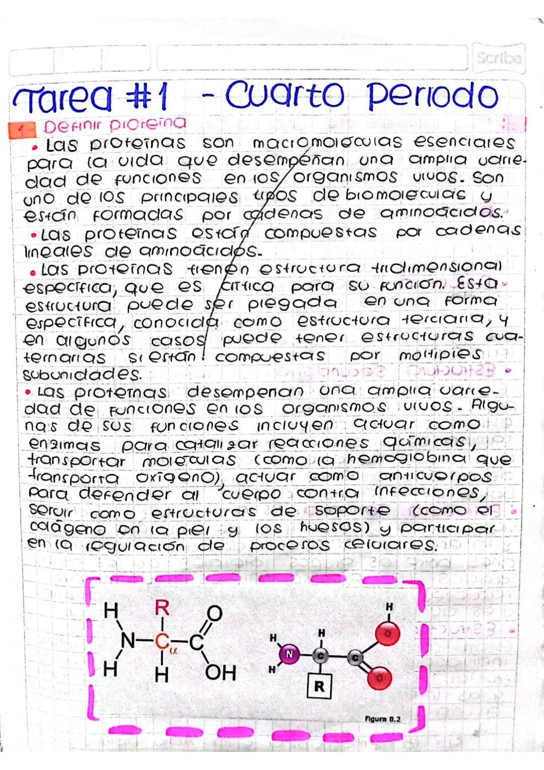 Apuntes sobre las proteínas