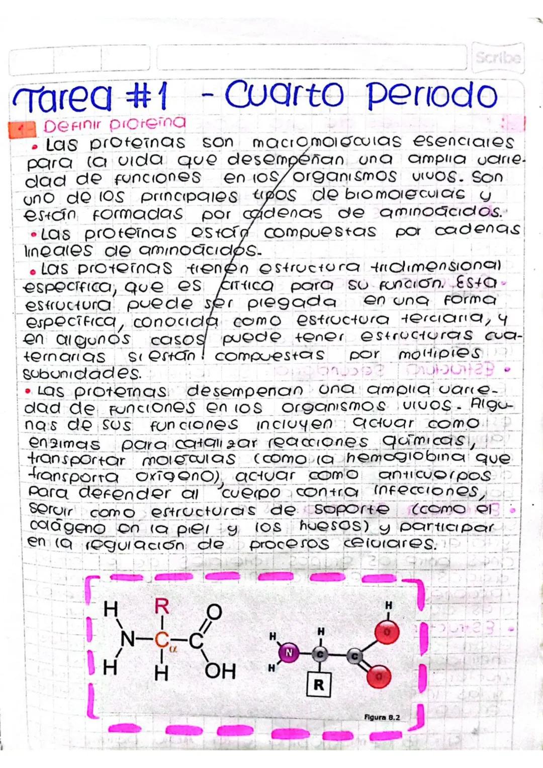 Scribe
Tarea #1 - Cuarto periodo
•
Definir proteina
Las proteinas son macromoleculas esenciales
para la vida que desempeñan una amplia varie