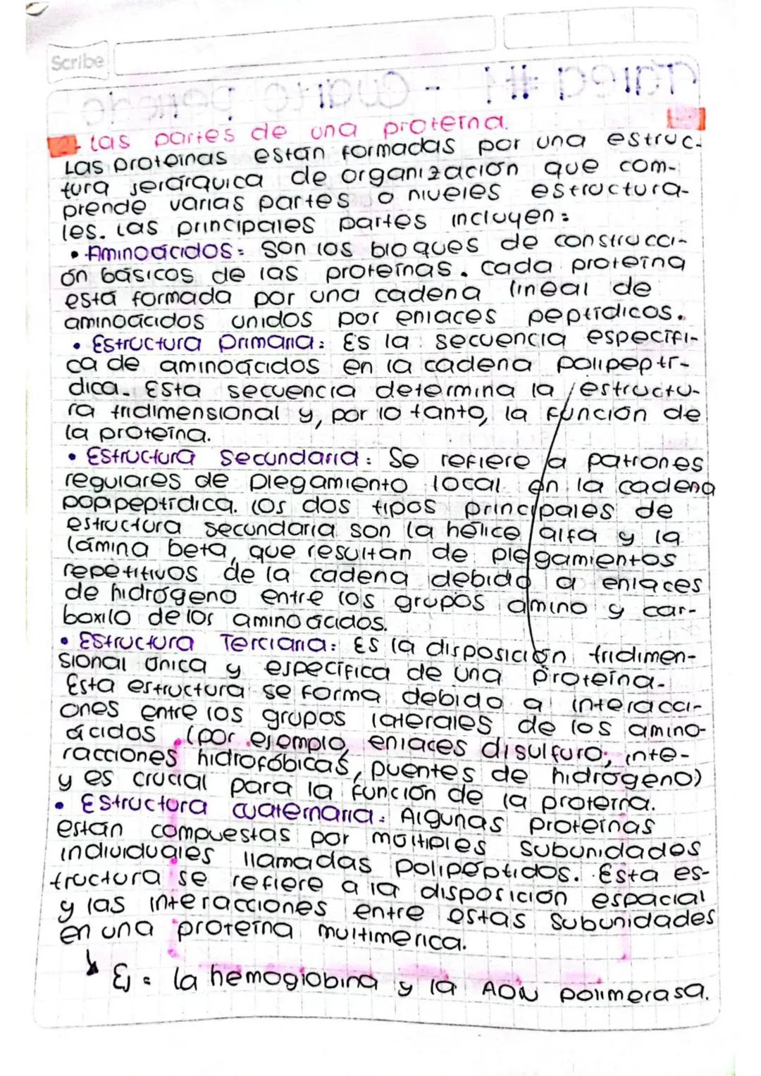 Scribe
Tarea #1 - Cuarto periodo
•
Definir proteina
Las proteinas son macromoleculas esenciales
para la vida que desempeñan una amplia varie