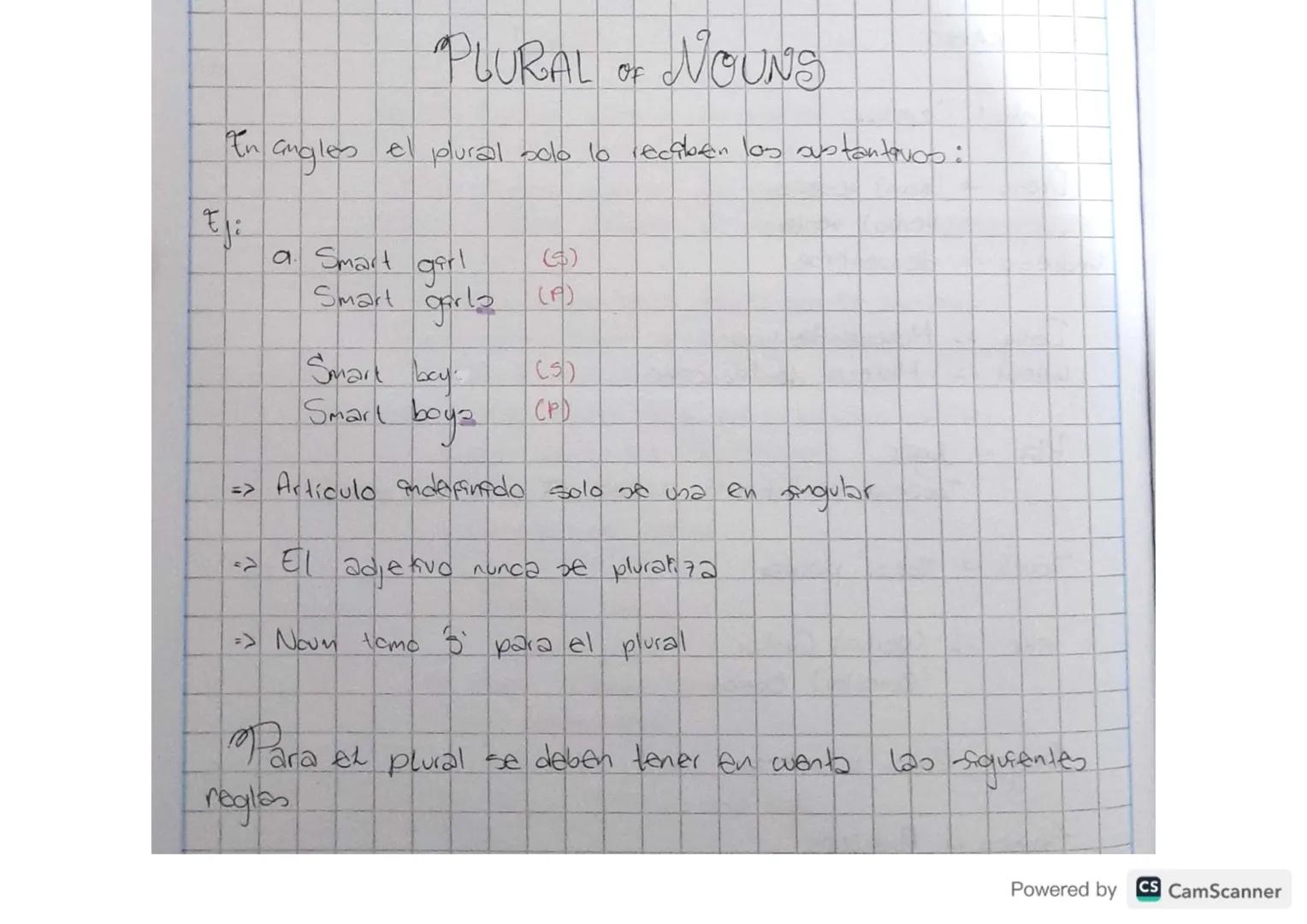 PLURAL OF NOUNS
En angles el plural bolo to reciben las sustantivos:
صل
もに
a. Smart
girl
(s)
Smart garla (F)
(5)
CPD
=>
Smart boy:
Smart boy