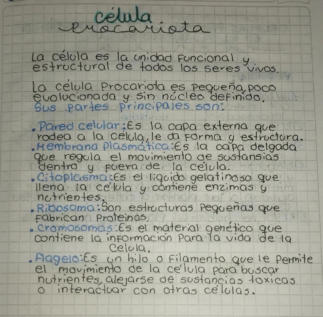 # célula
Pracariota
La célula es la unidad Funcional y..
estructural de todos los seres vivas.
La celula Procariota es pequeña, poco
evolu