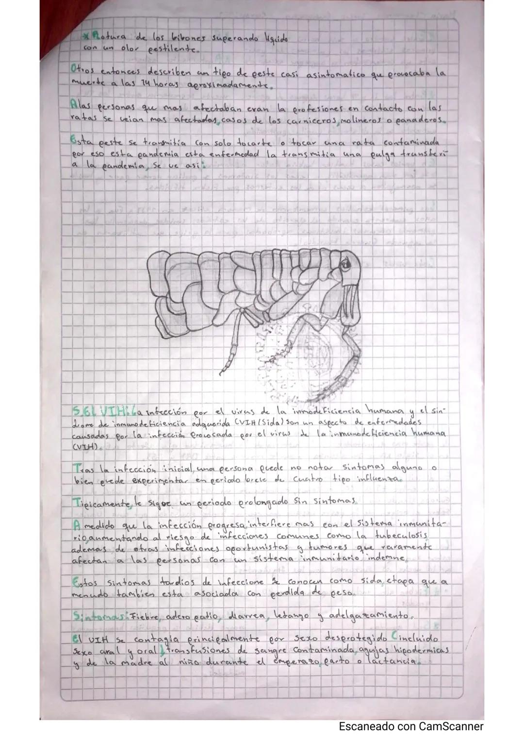 Nombre:
Maria Fernanda Torero Guayacan
Profesor
to e
Nelly yolanda Diaz
Institución:
Nueva Constitución.
૦૧
2020
Fecha: 27
Materia:
Biologia
