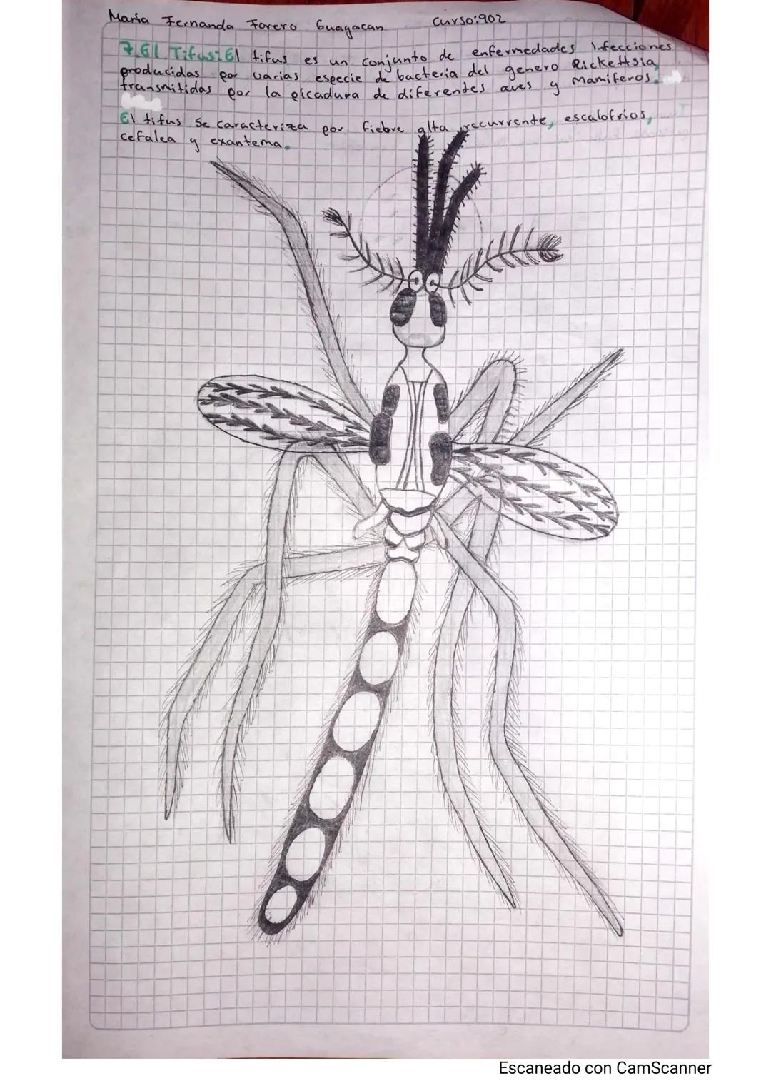 Nombre:
Maria Fernanda Torero Guayacan
Profesor
to e
Nelly yolanda Diaz
Institución:
Nueva Constitución.
૦૧
2020
Fecha: 27
Materia:
Biologia