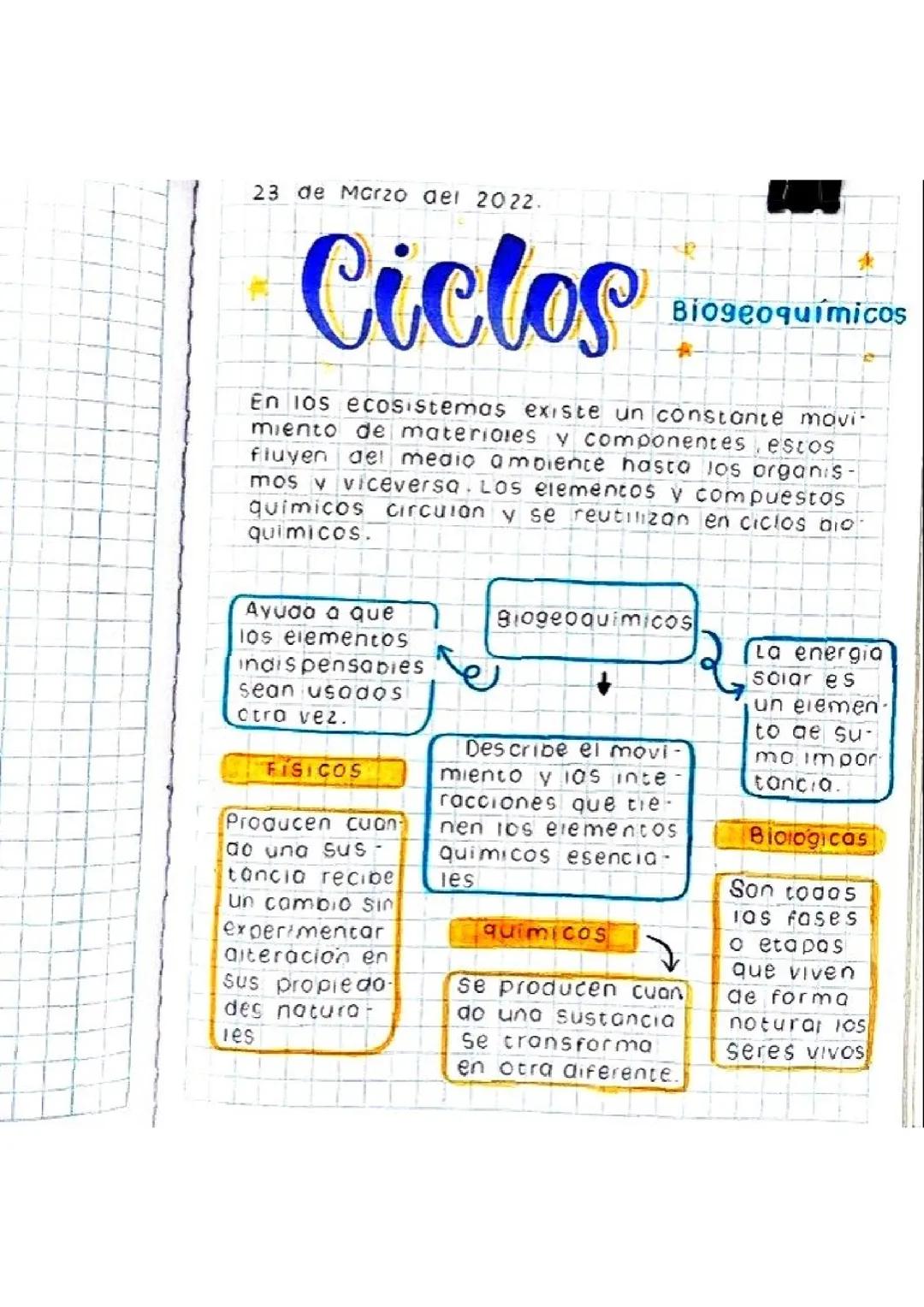 Ciclos biogeoquimicos