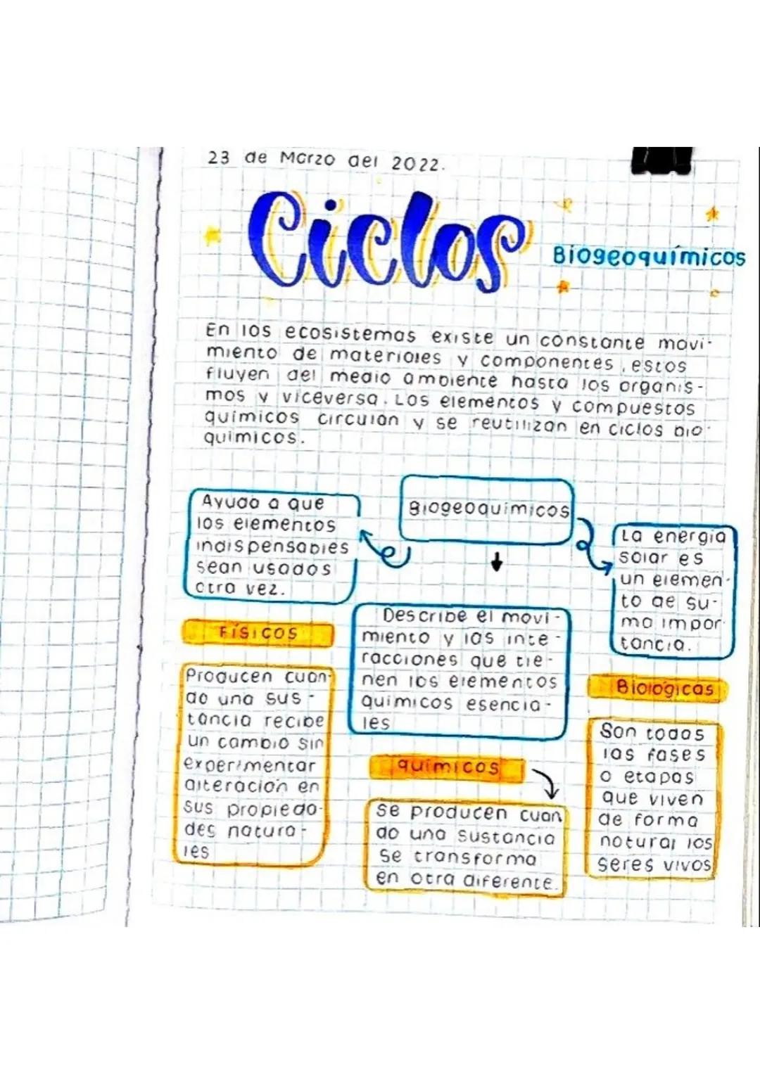 23 de Marzo del 2022.
Ciclos
Biogeoquímicos
En los ecosistemas existe un constante movi
miento de materiales y componentes, estos
fluyen del