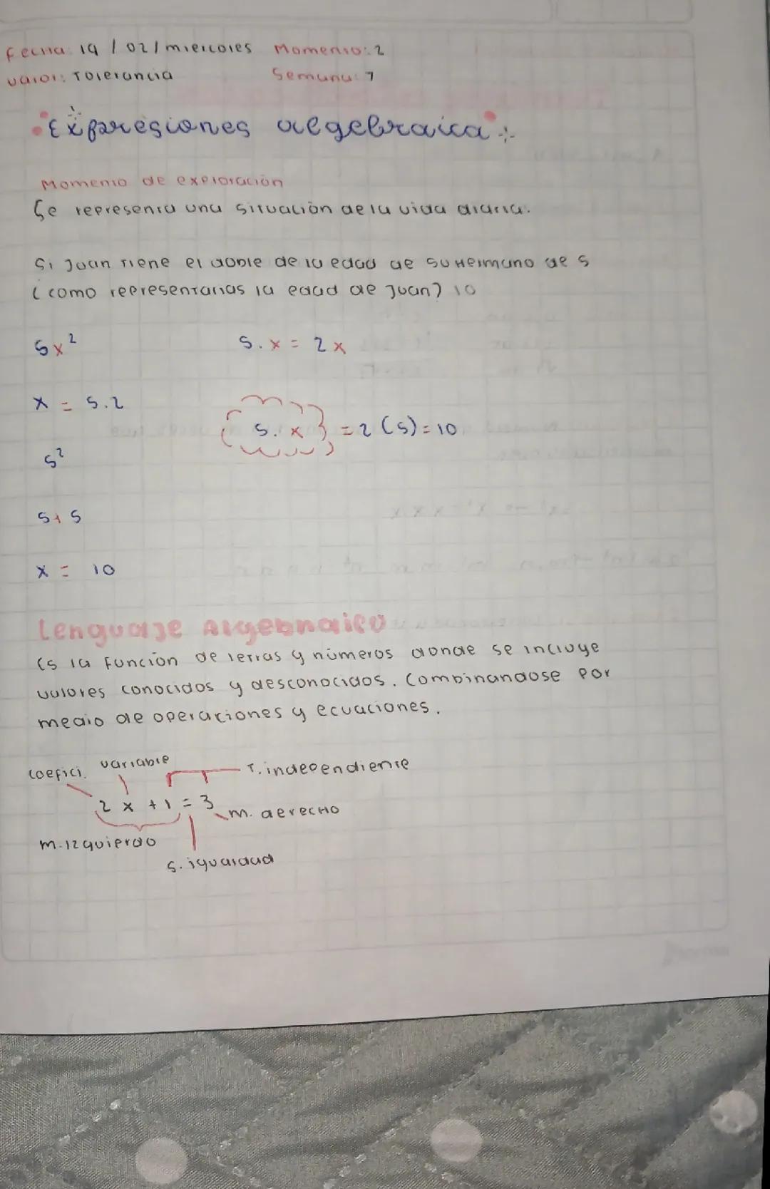 Expresiones algebraicas