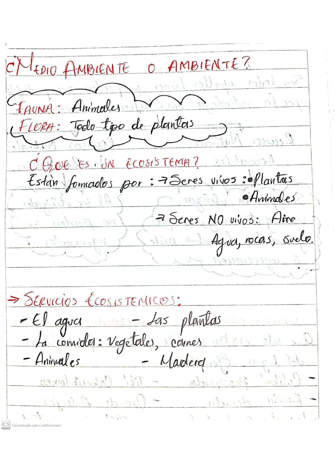 Medio Ambiente: Ecosistemas