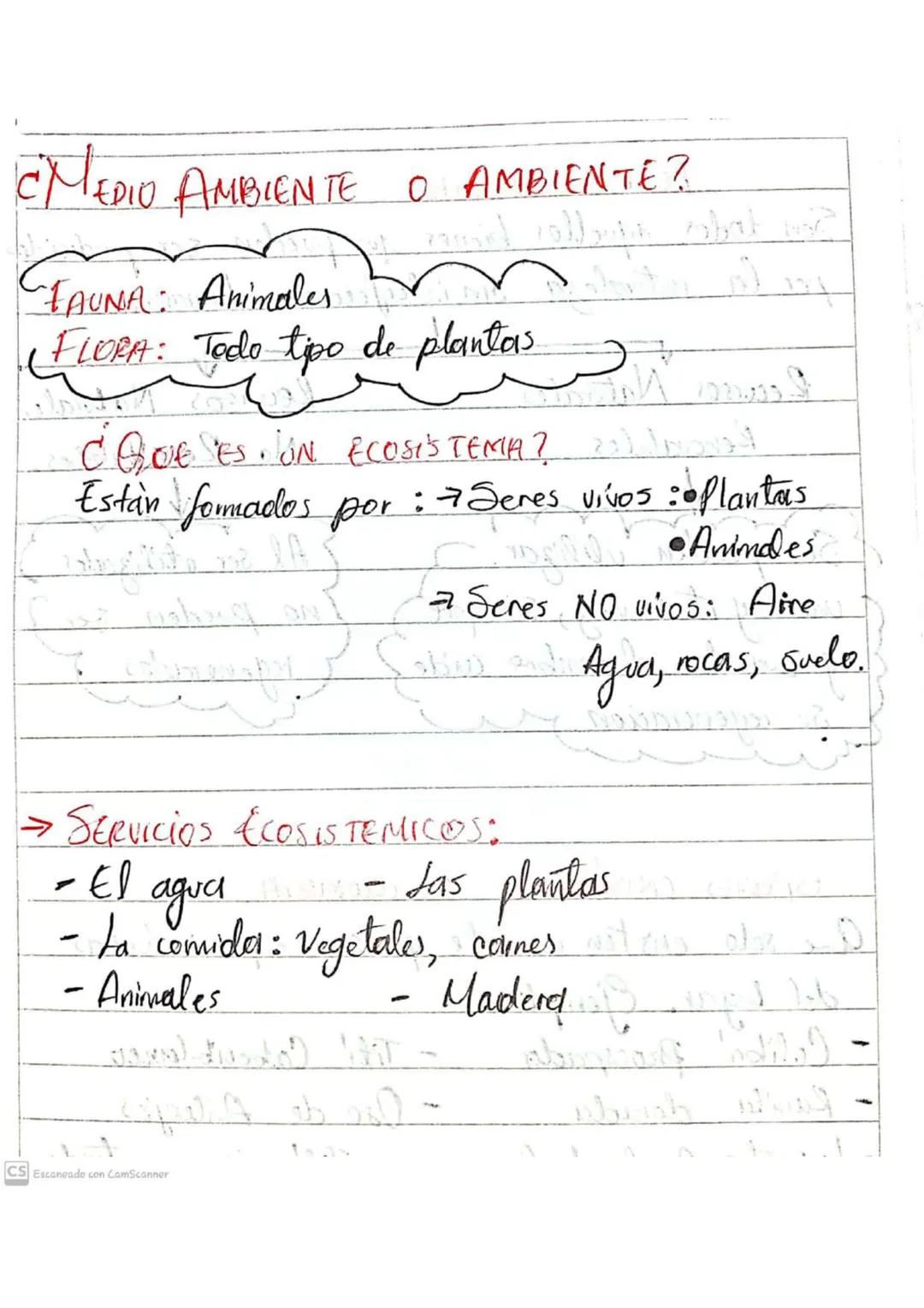 ¿MEDIO AMBIENTE O AMBIENTE?
FAUNA: Animales
FLORA: Todo tipo de plantas
CQUE ES. ON ECOSISTEMA? 2) IND
Estan formados por : 7 Seres vivos :