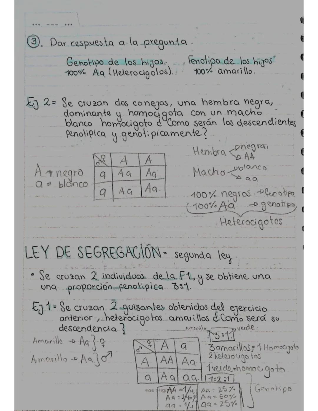# GENETICA
## Guía N°1
* LEY DE UNIFORMIDAD = Gregor Mendel.
* Cruzo 2 individuos puros (homocigoto).
Homocigoto dominante uno re