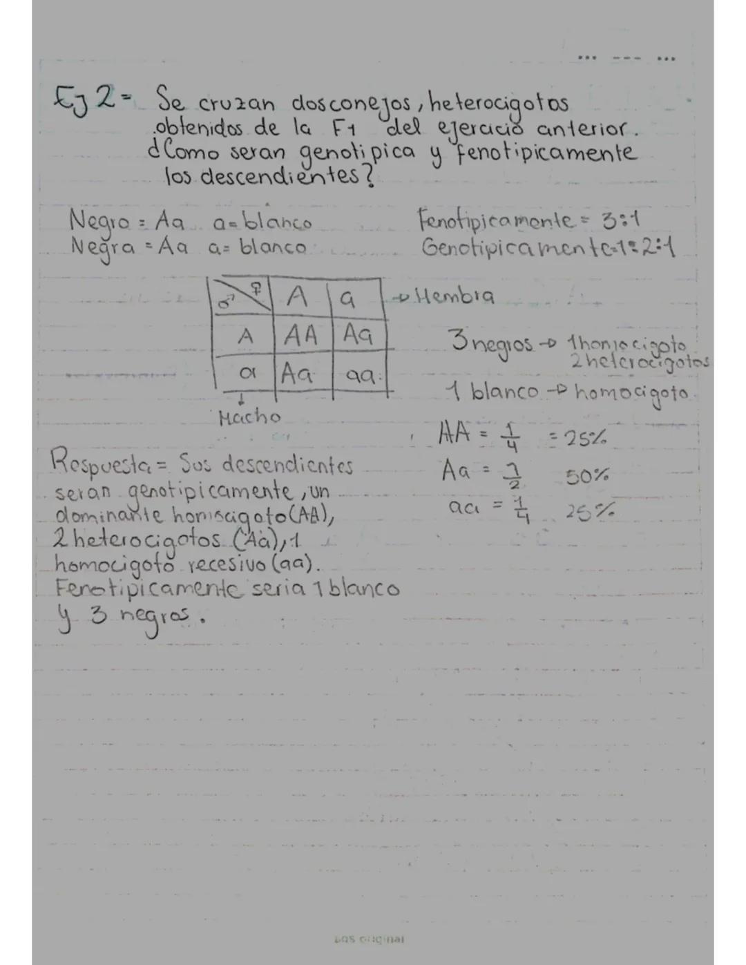 # GENETICA
## Guía N°1
* LEY DE UNIFORMIDAD = Gregor Mendel.
* Cruzo 2 individuos puros (homocigoto).
Homocigoto dominante uno re