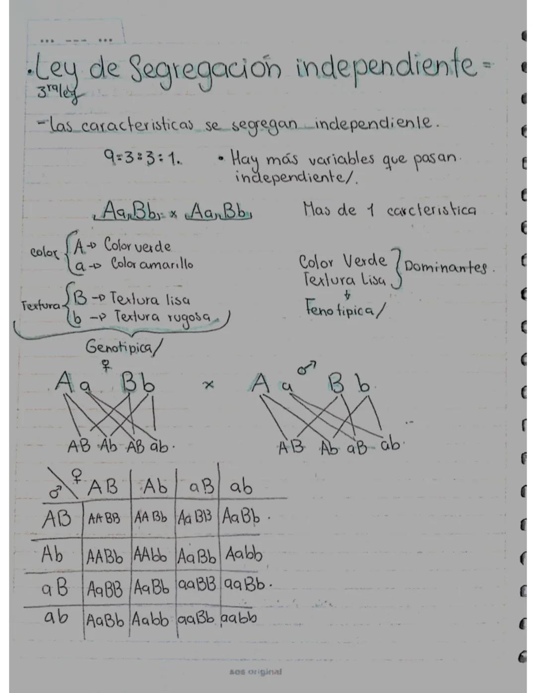 # GENETICA
## Guía N°1
* LEY DE UNIFORMIDAD = Gregor Mendel.
* Cruzo 2 individuos puros (homocigoto).
Homocigoto dominante uno re