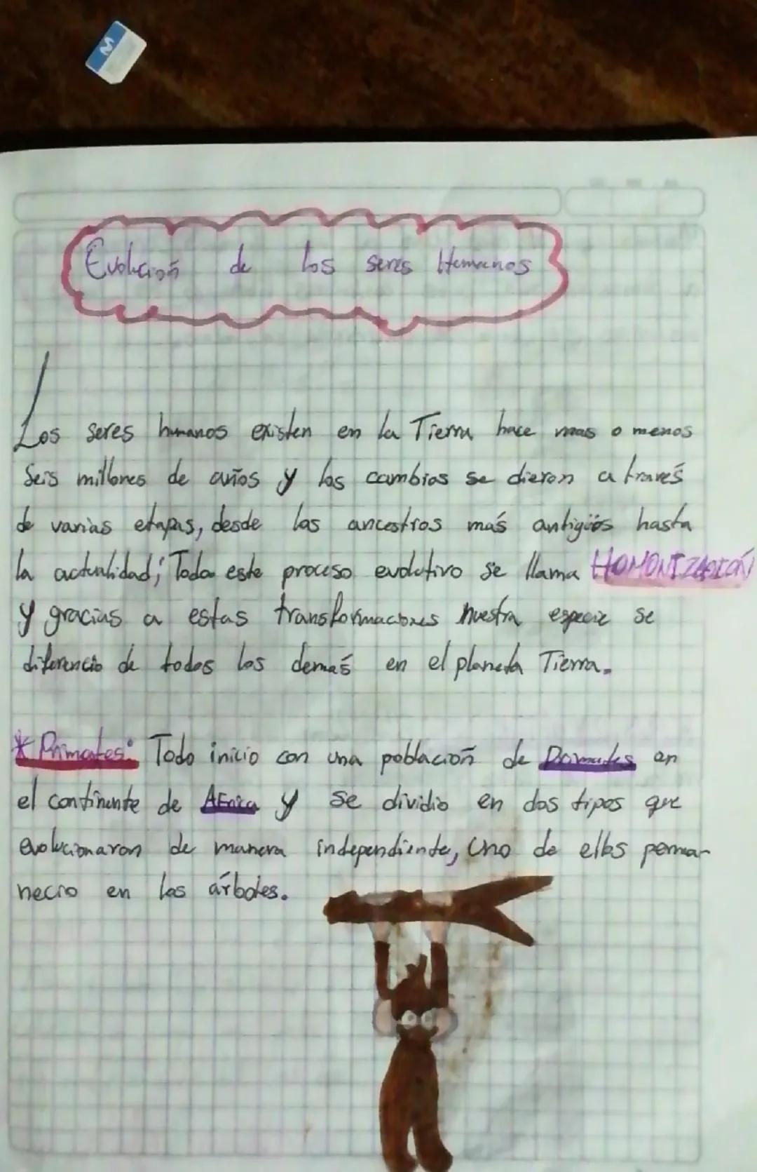 M
Evolucion de los seres Hemnes
Los seres humanos existen en la Tierra hace mas o menos.
Seis millones de años y las cambios se dieron a tra