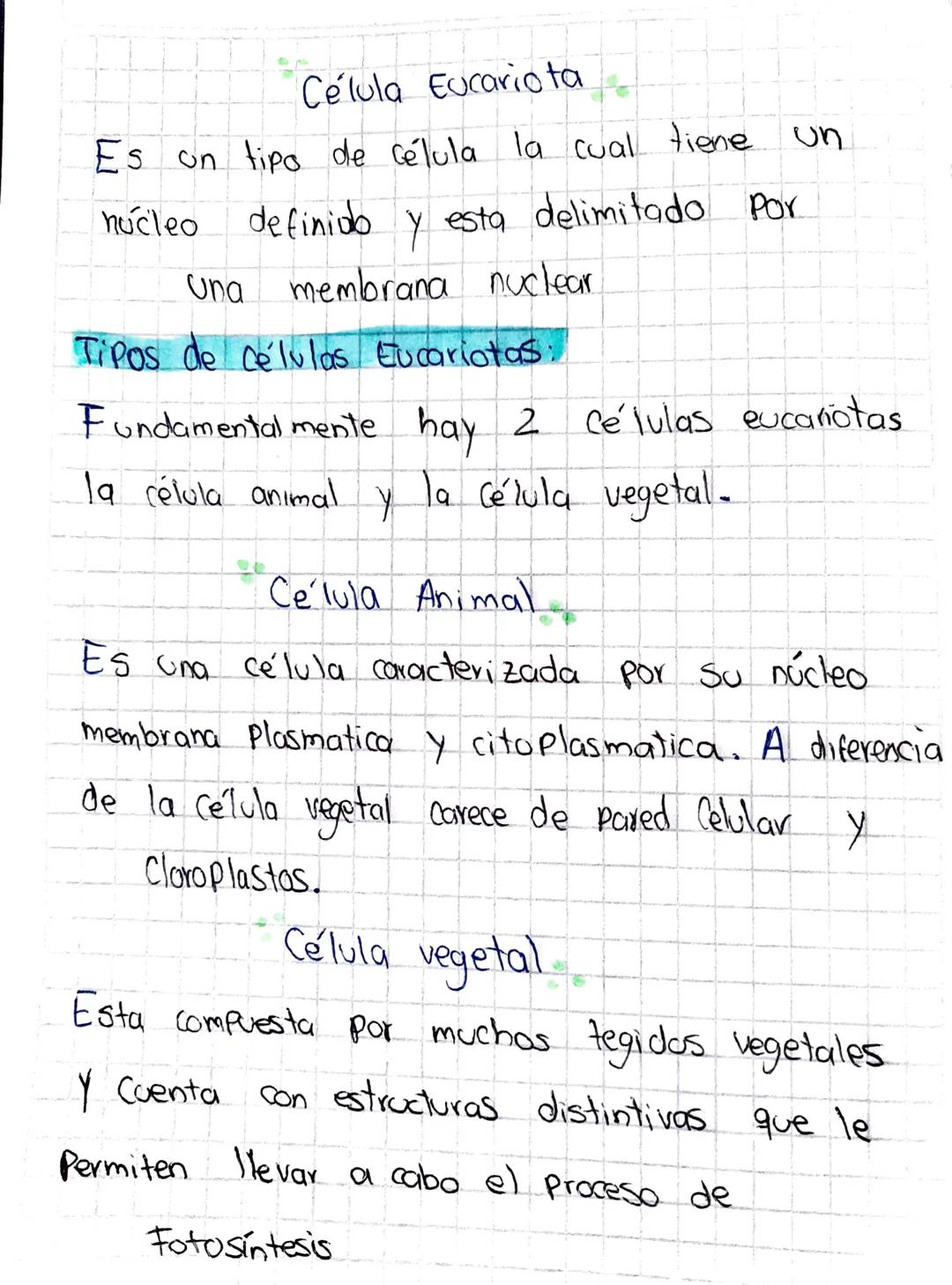 Célula Eucariota
Es un tipo de célula la cual tiene un
núcleo definido y esta delimitado por
Una membrana nuclear
Tipos de células Eucari