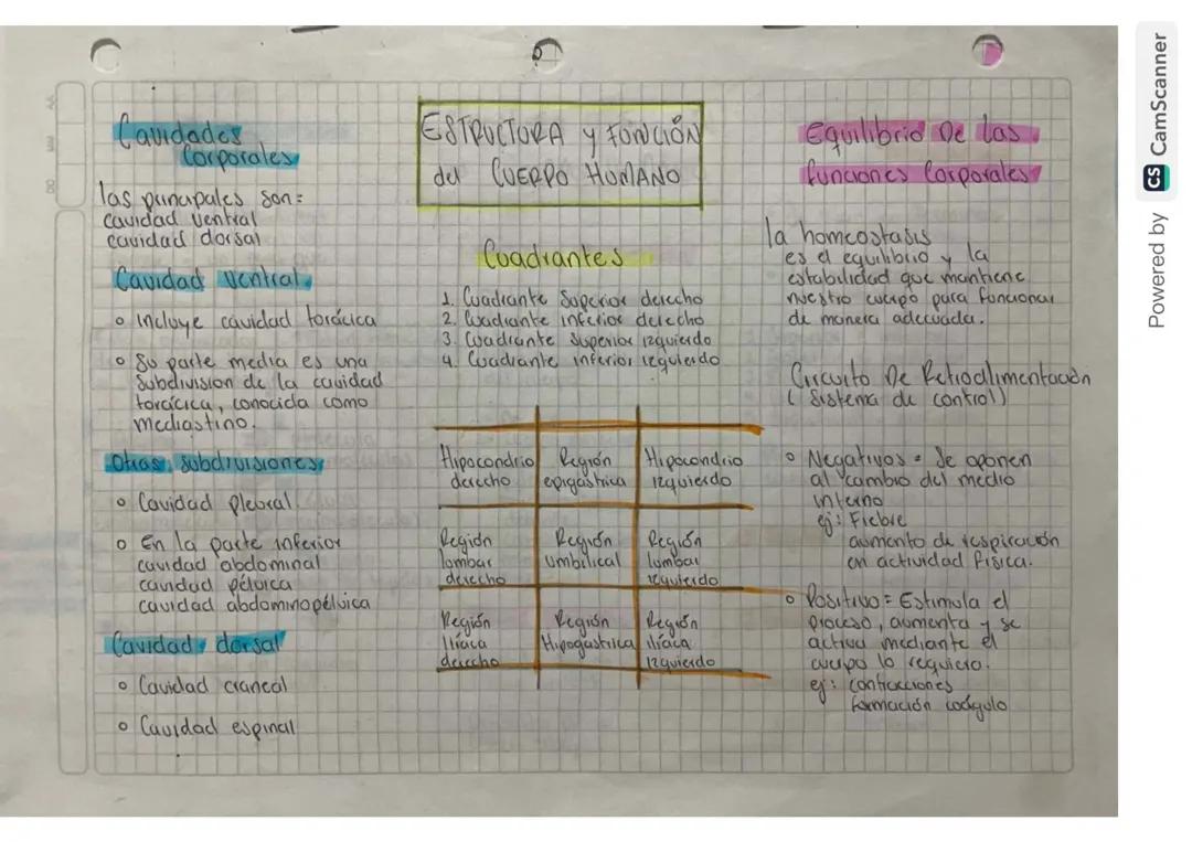 Estructura y función del cuerpo humano