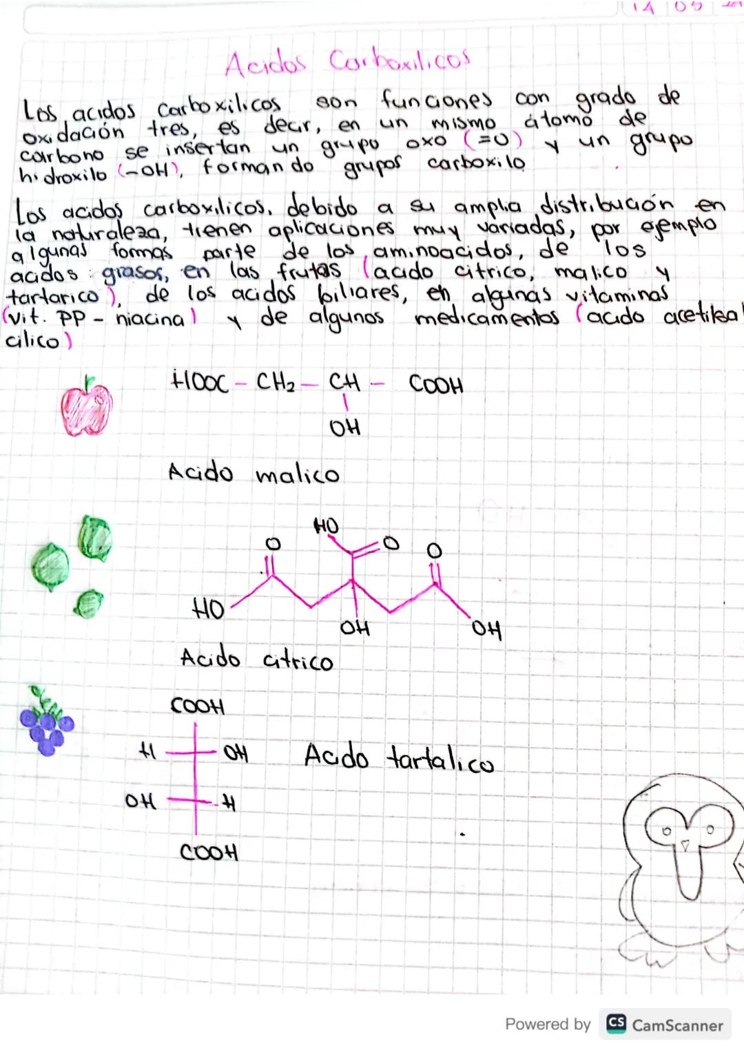 1405
201
Oxi
Acidos Carboxilicos
800
funciones con grado de
atomo de
un MISMO
Oxo (=0)
Los acidos Carboxilicos
dación tres, es dear, en
corb