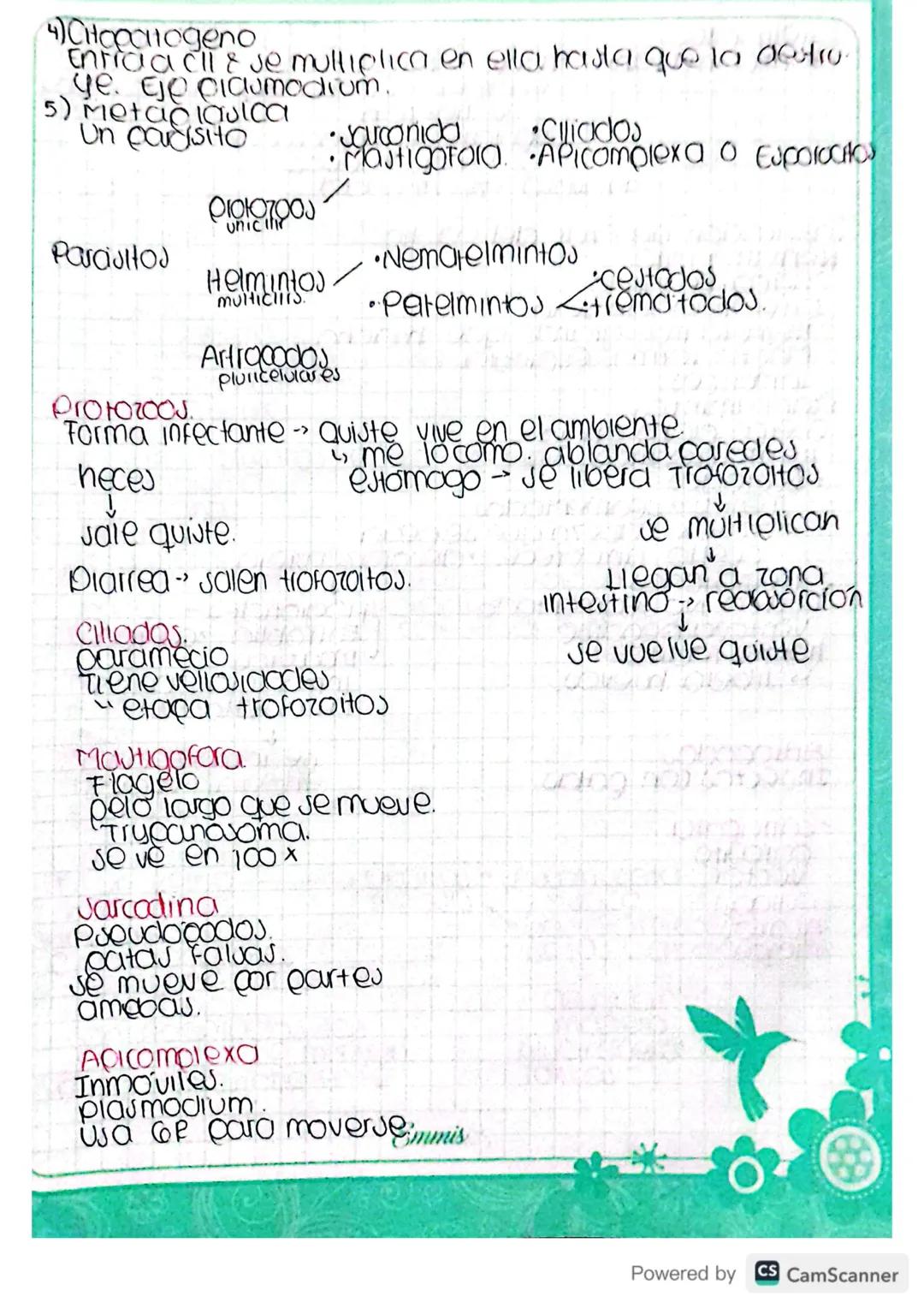 Parojitos!
POROJHIUMO.
Interaccion biologica
Porciuito vive a expensas de otro.
huesped Jufre enfermedad.
->
Clasificación parauitos
Obligad