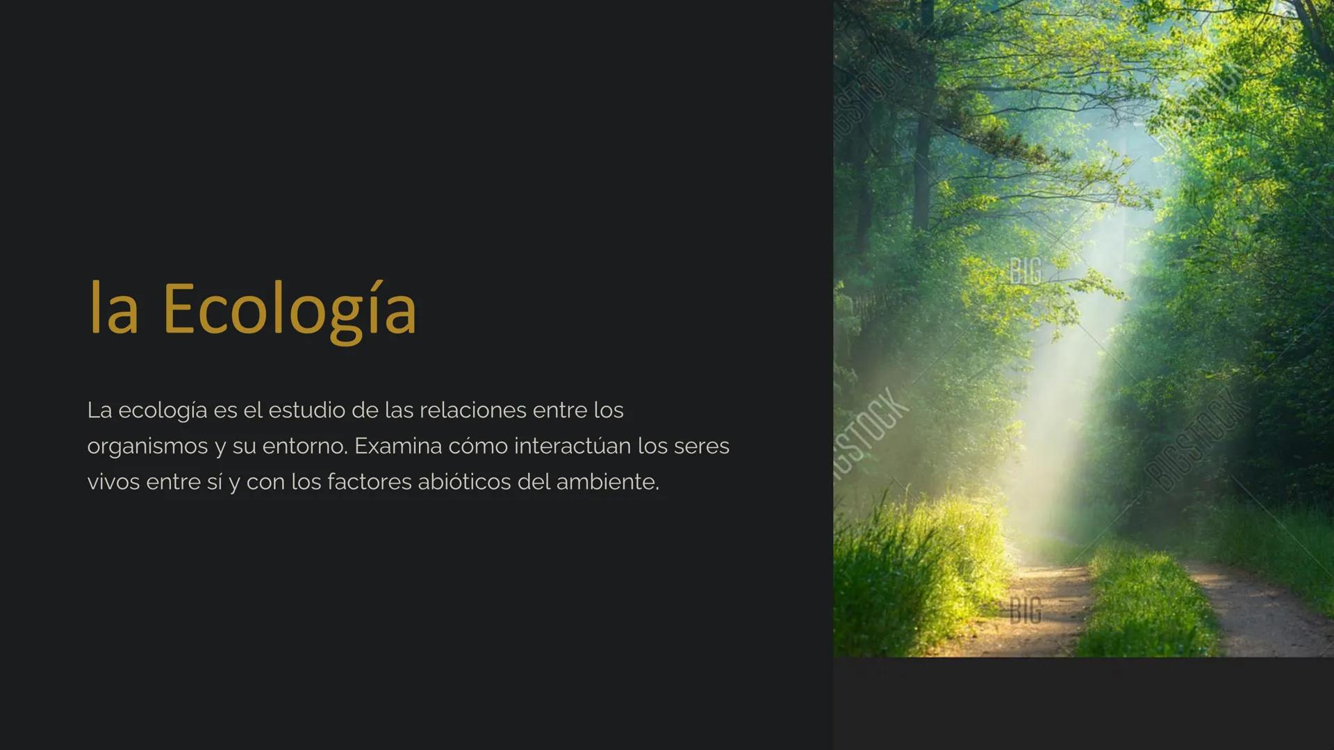 la Ecología
La ecología es el estudio de las relaciones entre los
organismos y su entorno. Examina cómo interactúan los seres
vivos entre sí