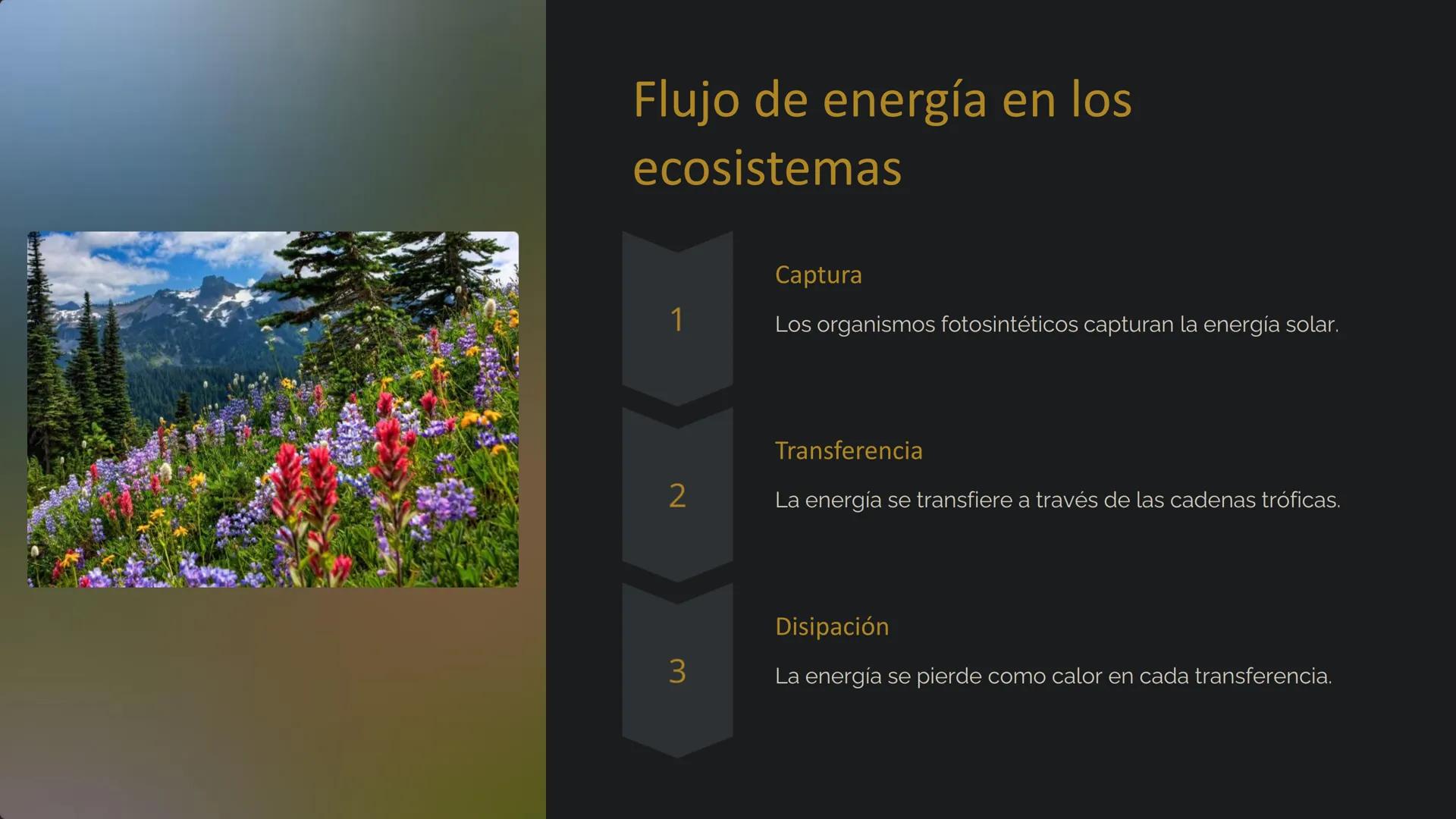 la Ecología
La ecología es el estudio de las relaciones entre los
organismos y su entorno. Examina cómo interactúan los seres
vivos entre sí