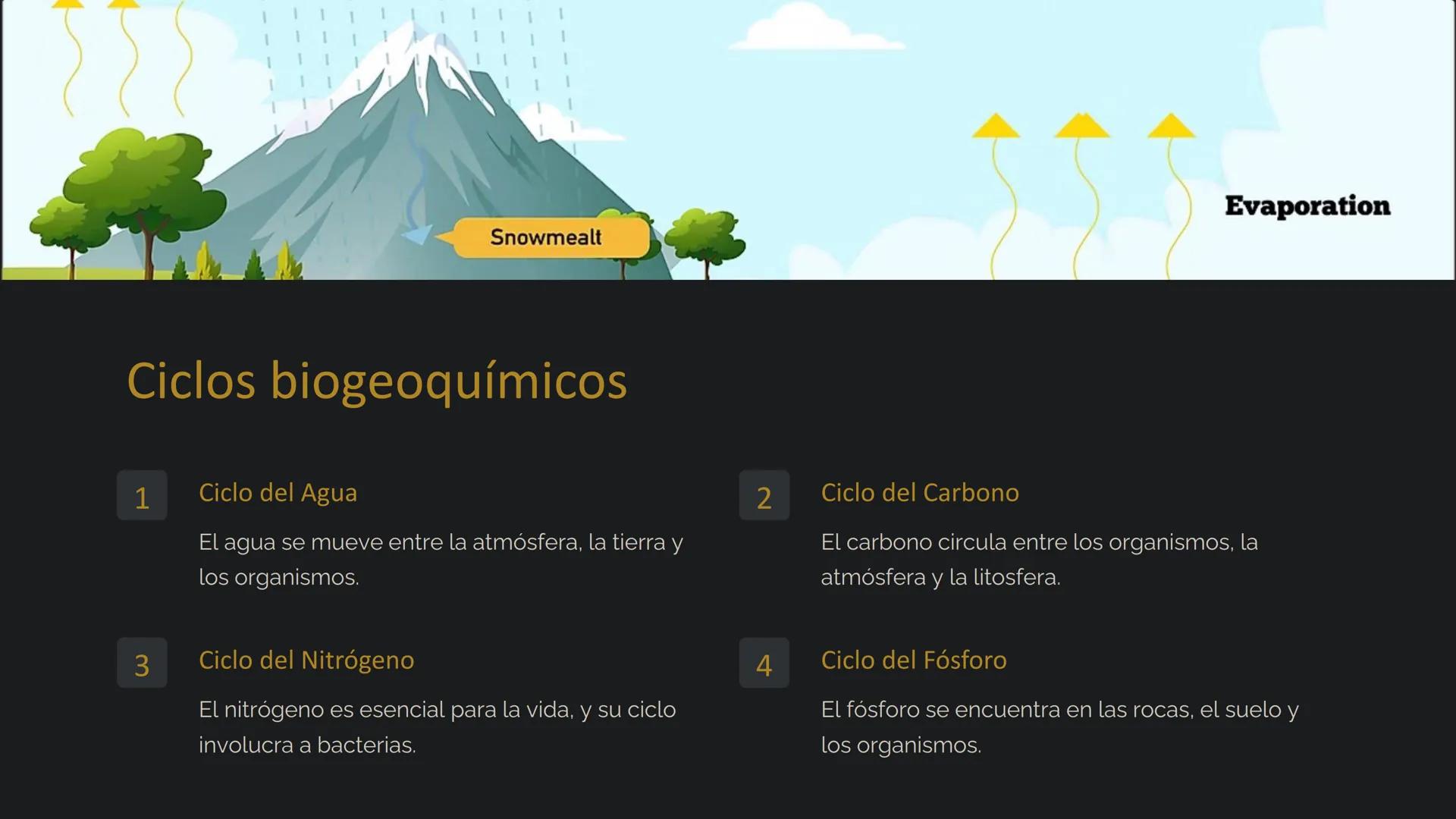 la Ecología
La ecología es el estudio de las relaciones entre los
organismos y su entorno. Examina cómo interactúan los seres
vivos entre sí