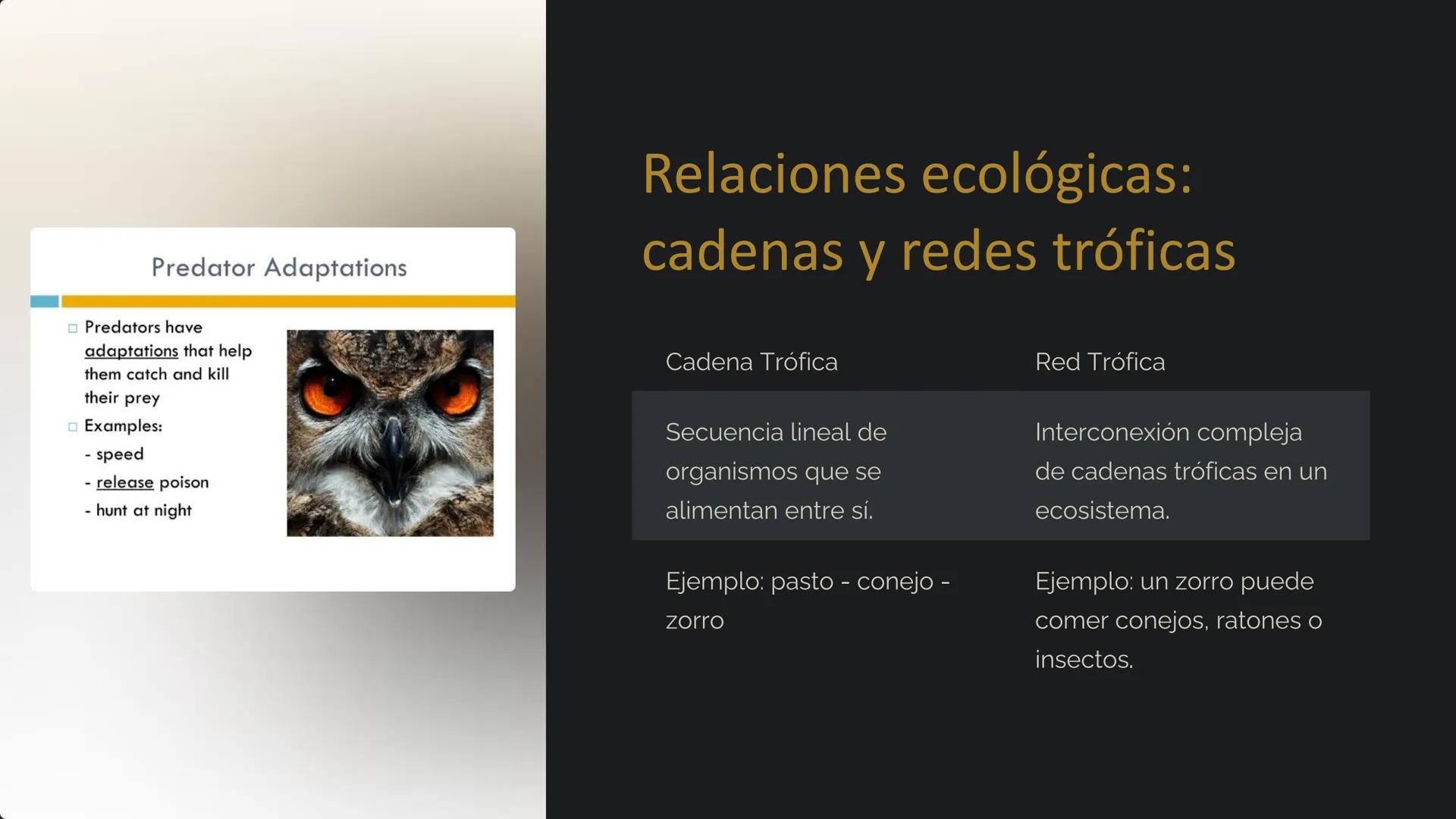 la Ecología
La ecología es el estudio de las relaciones entre los
organismos y su entorno. Examina cómo interactúan los seres
vivos entre sí