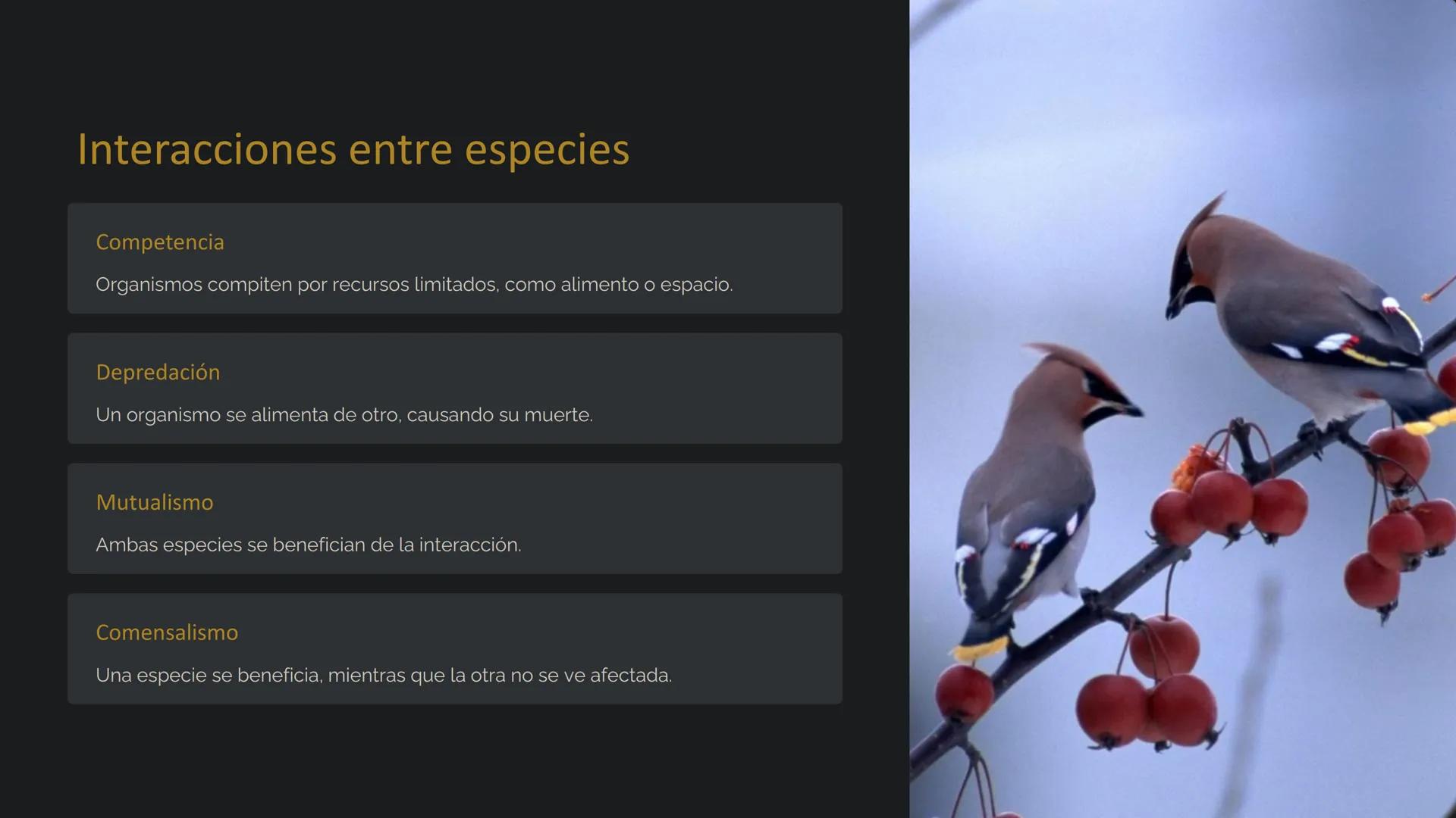 la Ecología
La ecología es el estudio de las relaciones entre los
organismos y su entorno. Examina cómo interactúan los seres
vivos entre sí