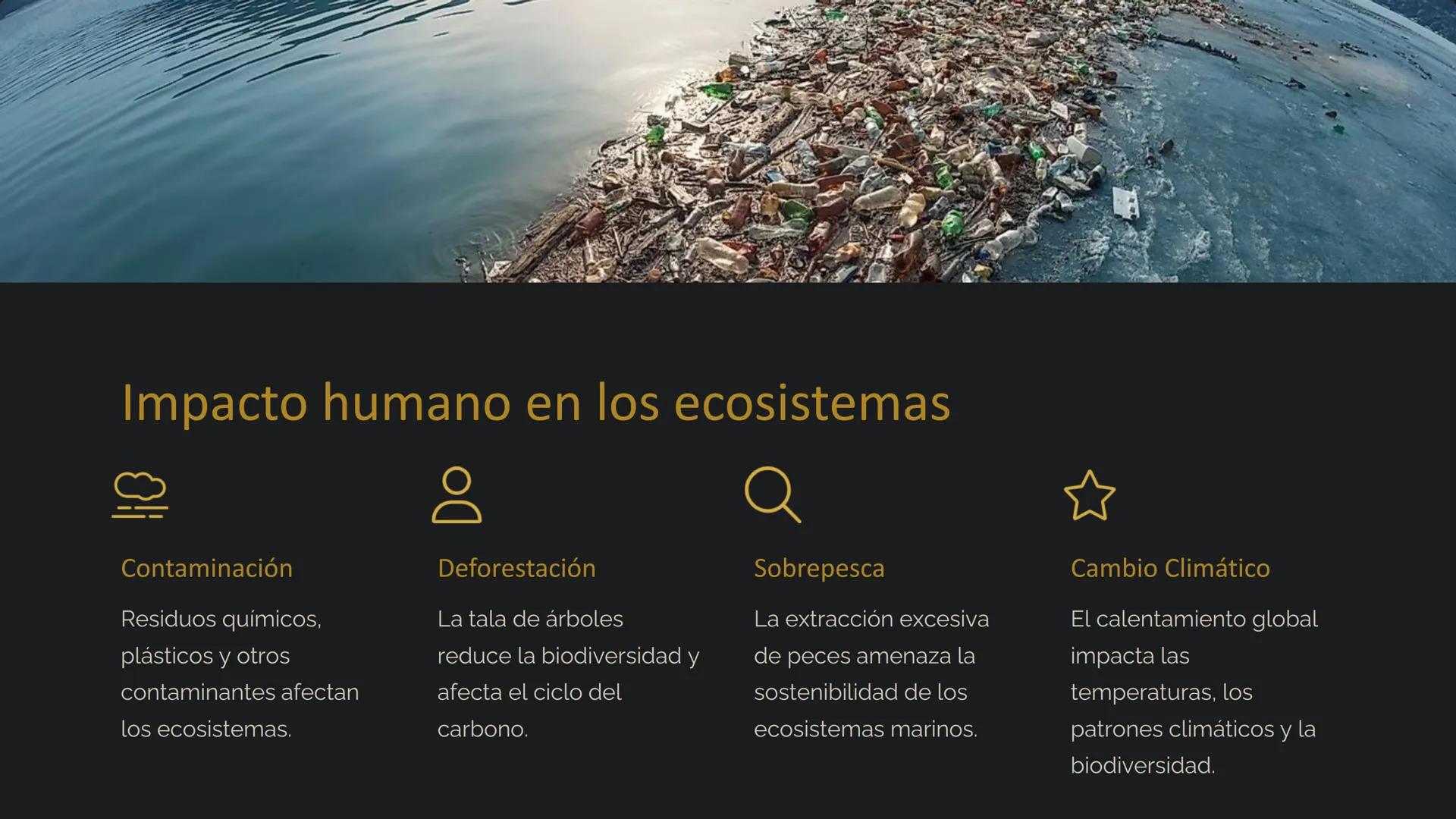 la Ecología
La ecología es el estudio de las relaciones entre los
organismos y su entorno. Examina cómo interactúan los seres
vivos entre sí