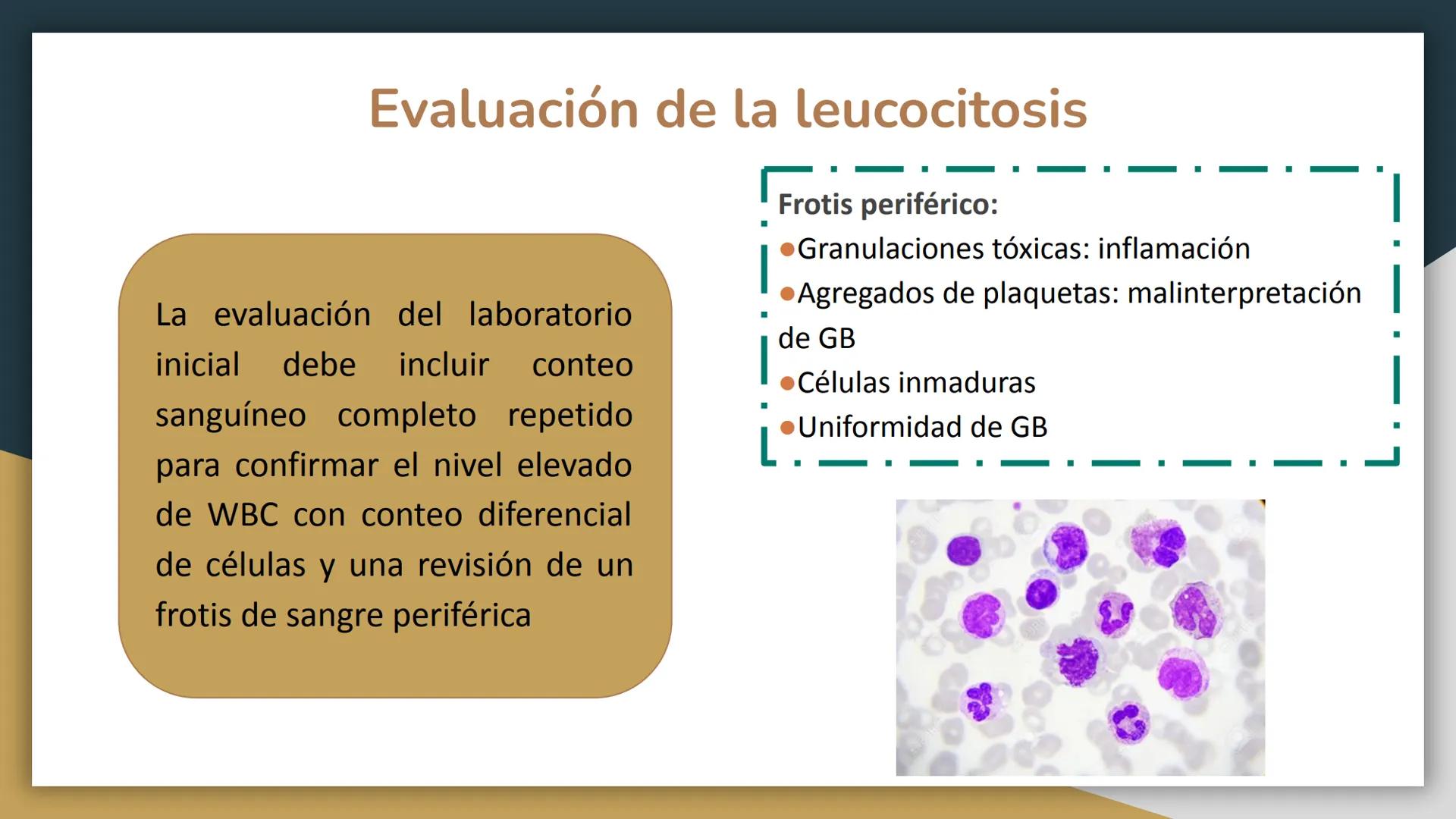 # Trastornos leucocitarios
JOSEPH JACOBO SU Leucocitosis
Recuento elevado de leucocitos por encima de 11,000 células por
mm3.
50,000 a 10