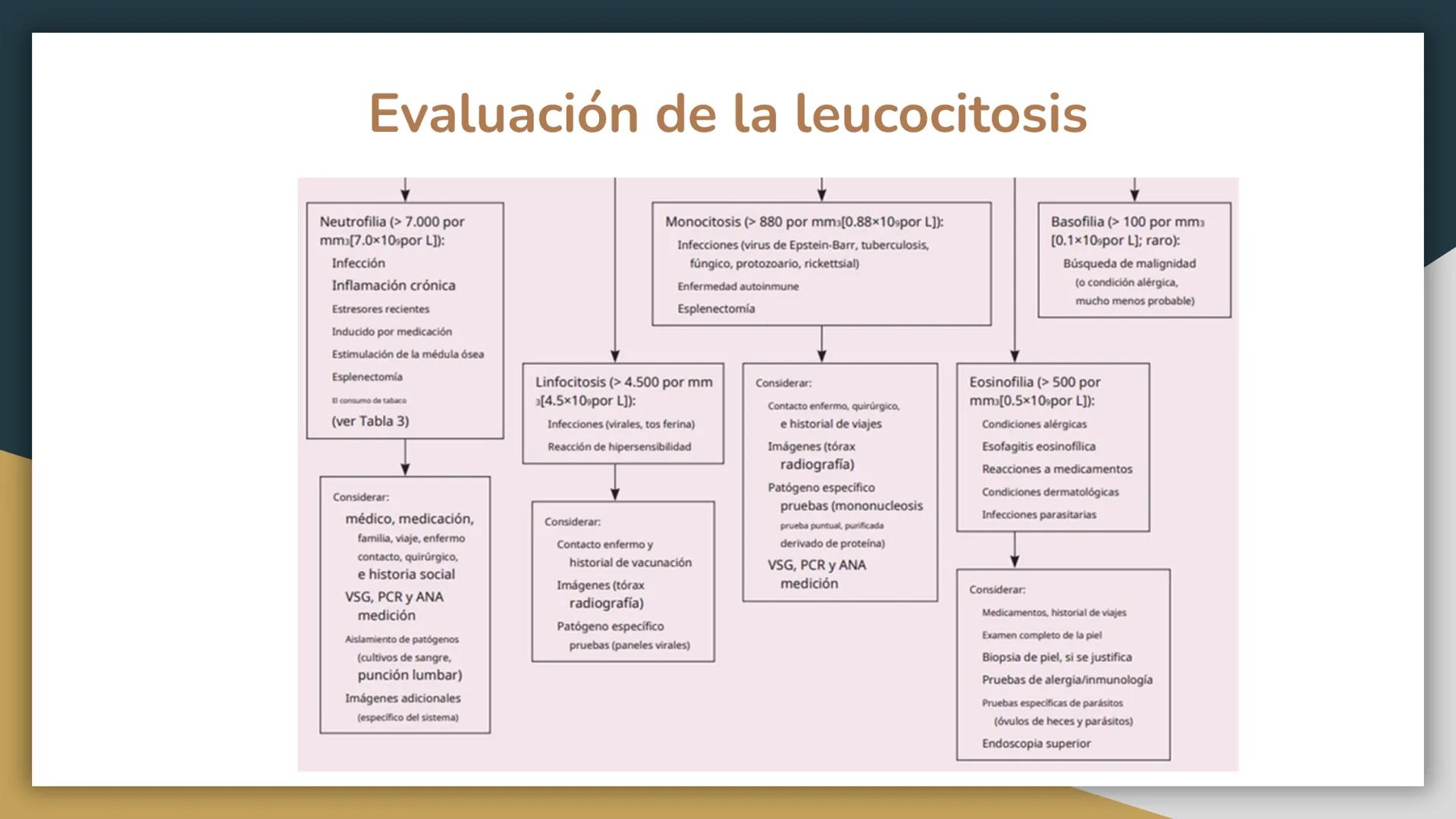 # Trastornos leucocitarios
JOSEPH JACOBO SU Leucocitosis
Recuento elevado de leucocitos por encima de 11,000 células por
mm3.
50,000 a 10