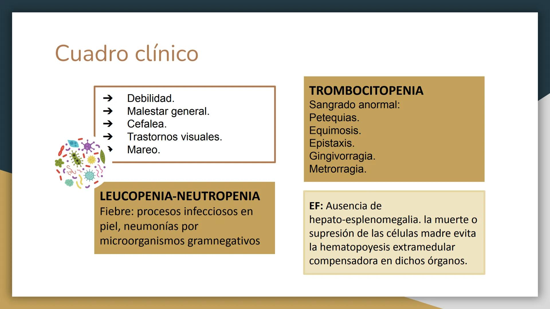 # Trastornos leucocitarios
JOSEPH JACOBO SU Leucocitosis
Recuento elevado de leucocitos por encima de 11,000 células por
mm3.
50,000 a 10