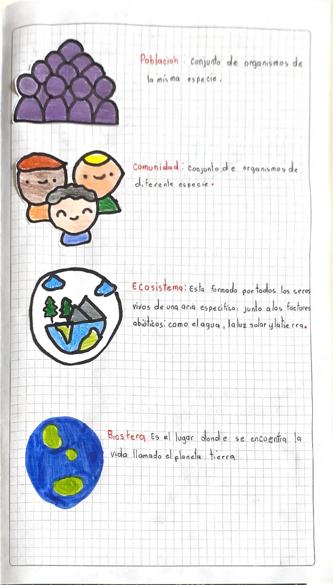 # Nivel Atómico: los átomos que constituyen la materia
viva se denominan bioelementos, siendo los principales
les el carbono, el hidrógeno,