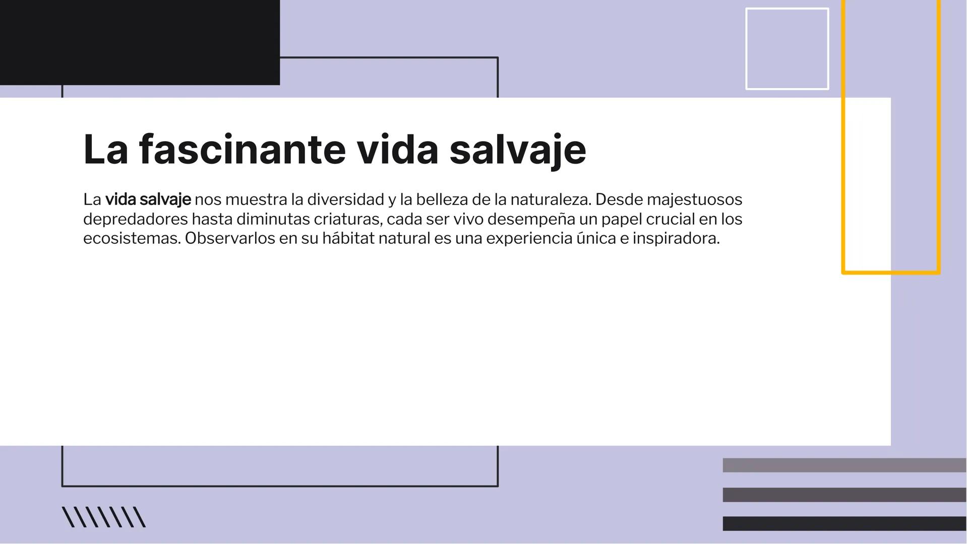 Descubriendo la naturaleza:
montañas, sol y vida salvaje ////
¡Bienvenidos!
Prepárense para un viaje emocionante a través de
las montañas, e