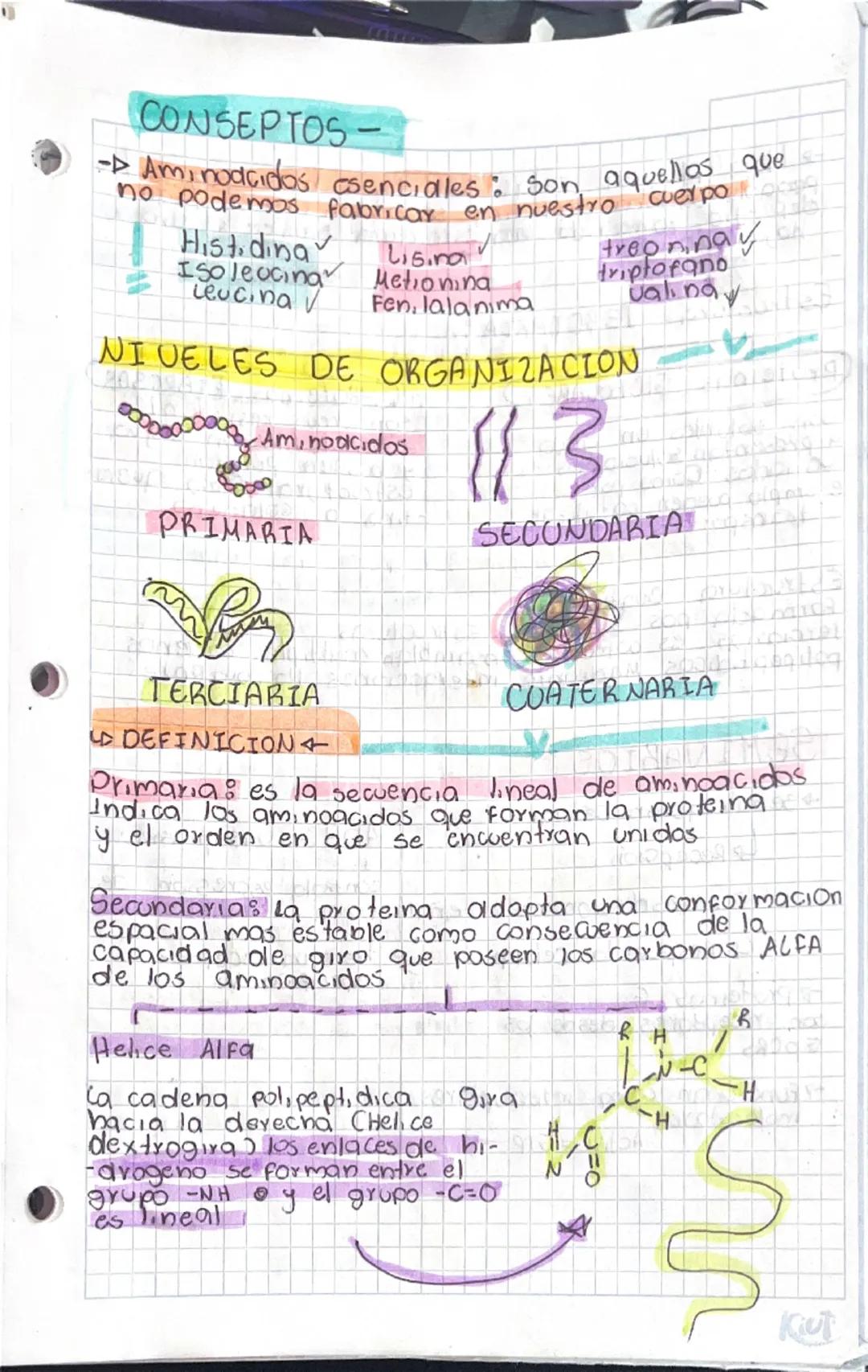 Amino acidos
Do Existen 20 aminoacidos
proteicos
COOH carbonlo
1
H2N-C-H
Do Son solubles en agua
Amino R
Am.nodcidos Apolares
polares alifát