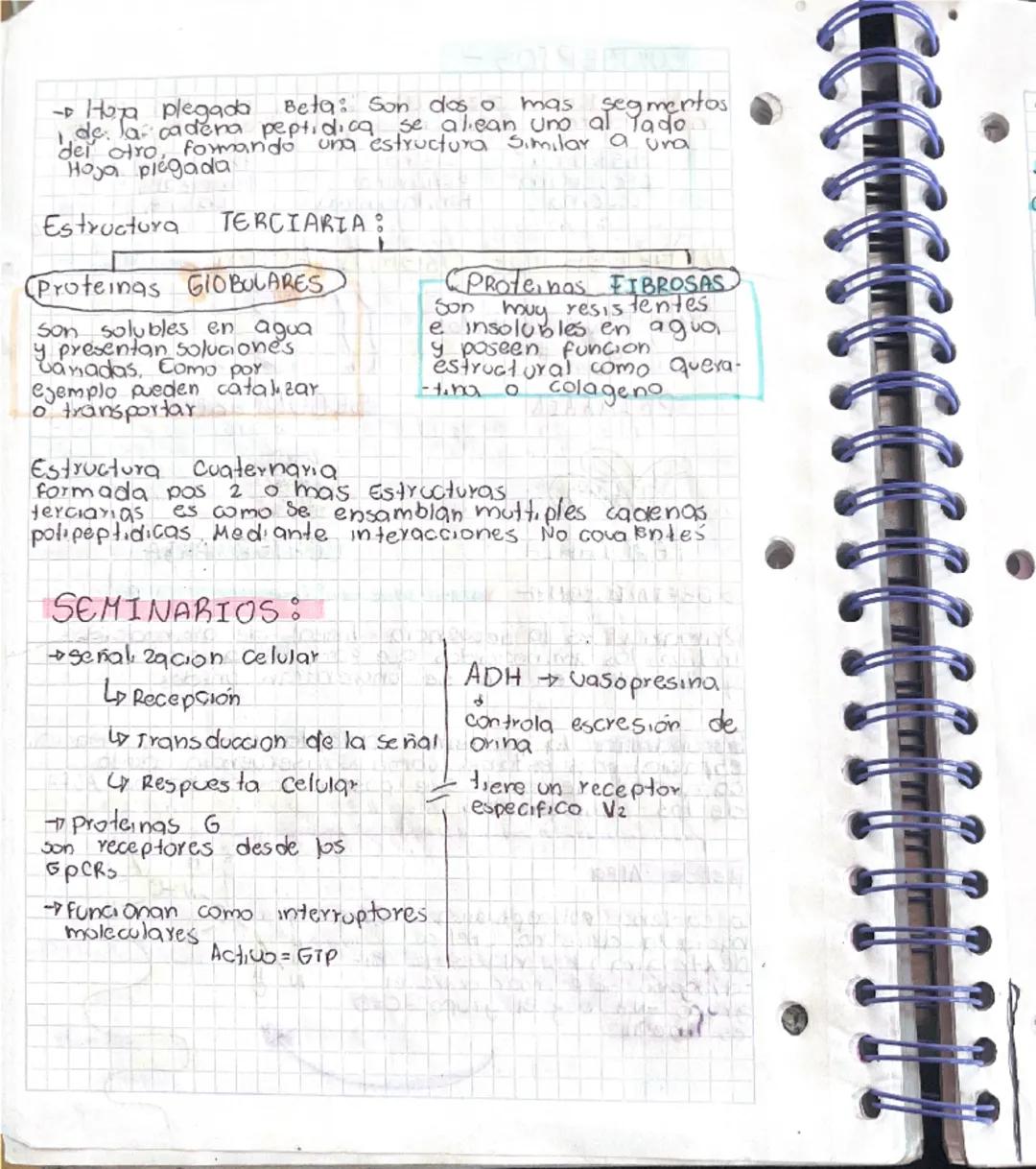 Amino acidos
Do Existen 20 aminoacidos
proteicos
COOH carbonlo
1
H2N-C-H
Do Son solubles en agua
Amino R
Am.nodcidos Apolares
polares alifát