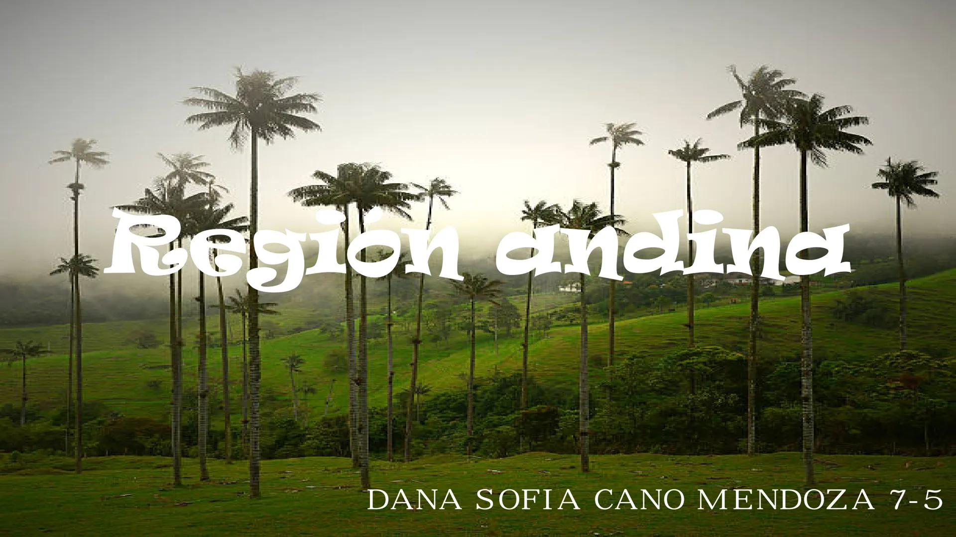 Region andina
DANA SOFIA CANO MENDOZA 7-5 Ritmos, danzas y
bailes: torbellino, guabine
carranga, bambuco,
pasillo, danza, rumba
criolla, rum