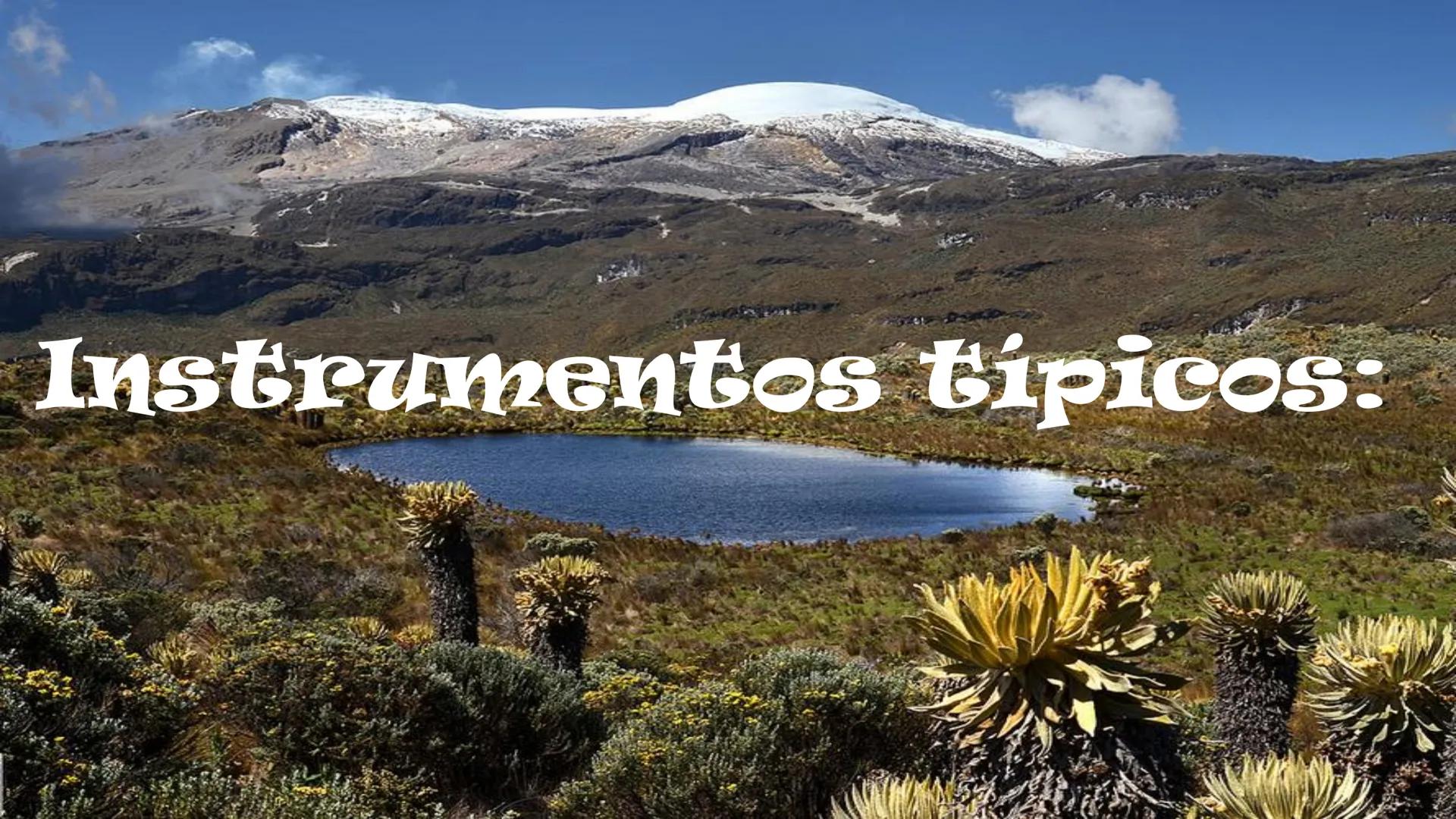 Region andina
DANA SOFIA CANO MENDOZA 7-5 Ritmos, danzas y
bailes: torbellino, guabine
carranga, bambuco,
pasillo, danza, rumba
criolla, rum