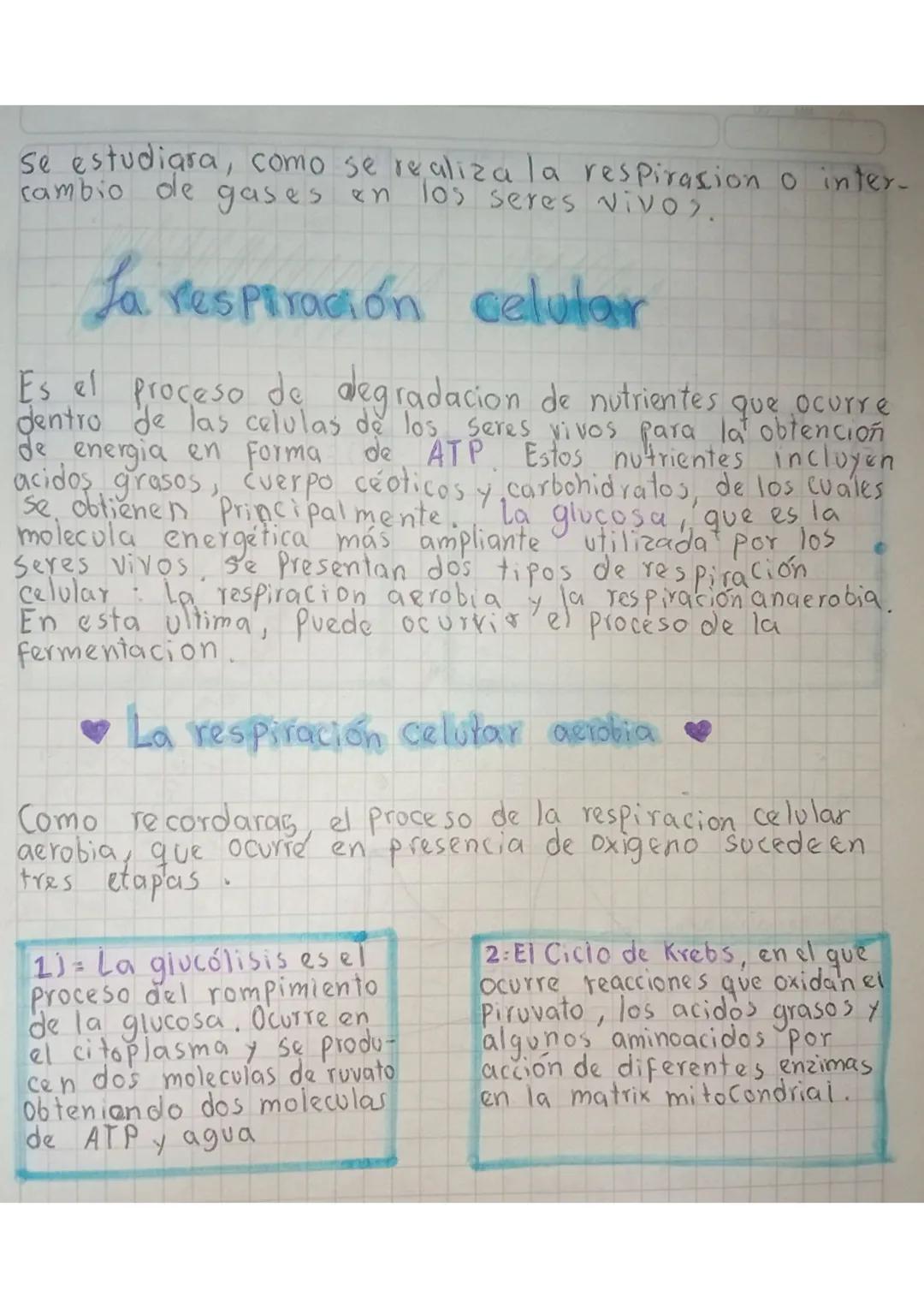 cabo Sus
La respiración -
Los Seres vivos necesitan energia para llevar a
procesos vitales. En la mayoria de los
ecocistemas terrestres, com