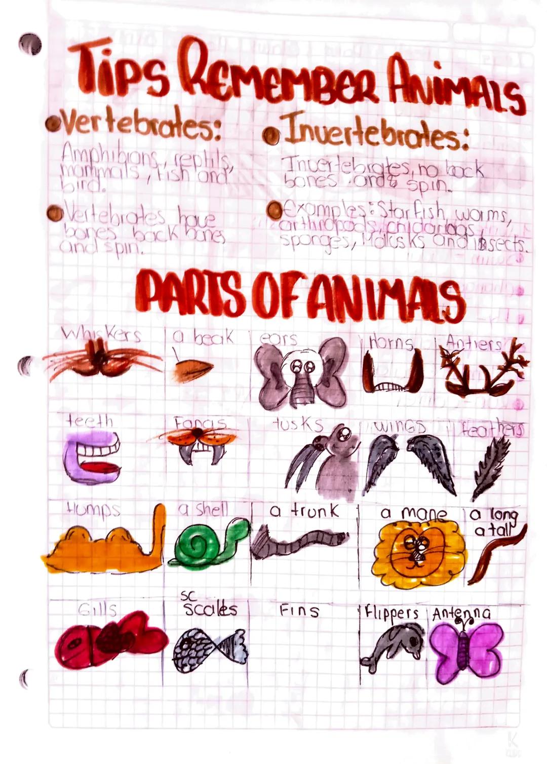 023
Activity:
DIAGNOSTICO
Complete the chart write the correct personal
pronton or subject.
MST Personal
3RD PERSON ON SINCULARS PURAIS
it
S