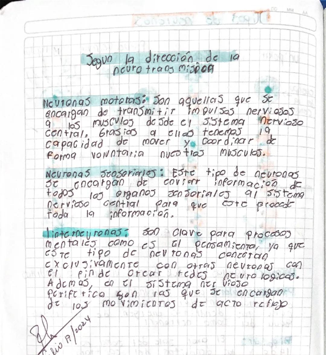 # Tipos de neuronas
Unipolar
cuerpo
de 19
Celvia
Mielina-
Bipolar
Pseudounipolar Multipolar
Axon
Receptor
scasetidi
- Receptor
Unip