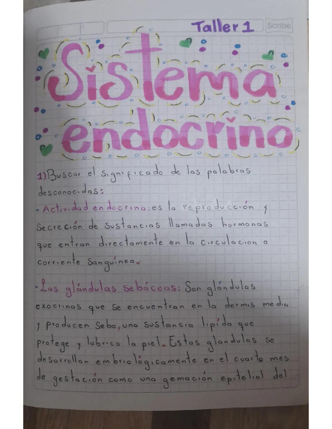 SISTEMA ENDOCRINO