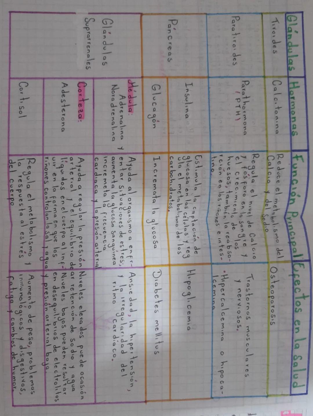 0
Taller 1 Scribe
Sistema
endocrino
0
1) Buscar el significado de las palabras
desconocidas:
• Actividad endocrina: es la reproducción y
Sec