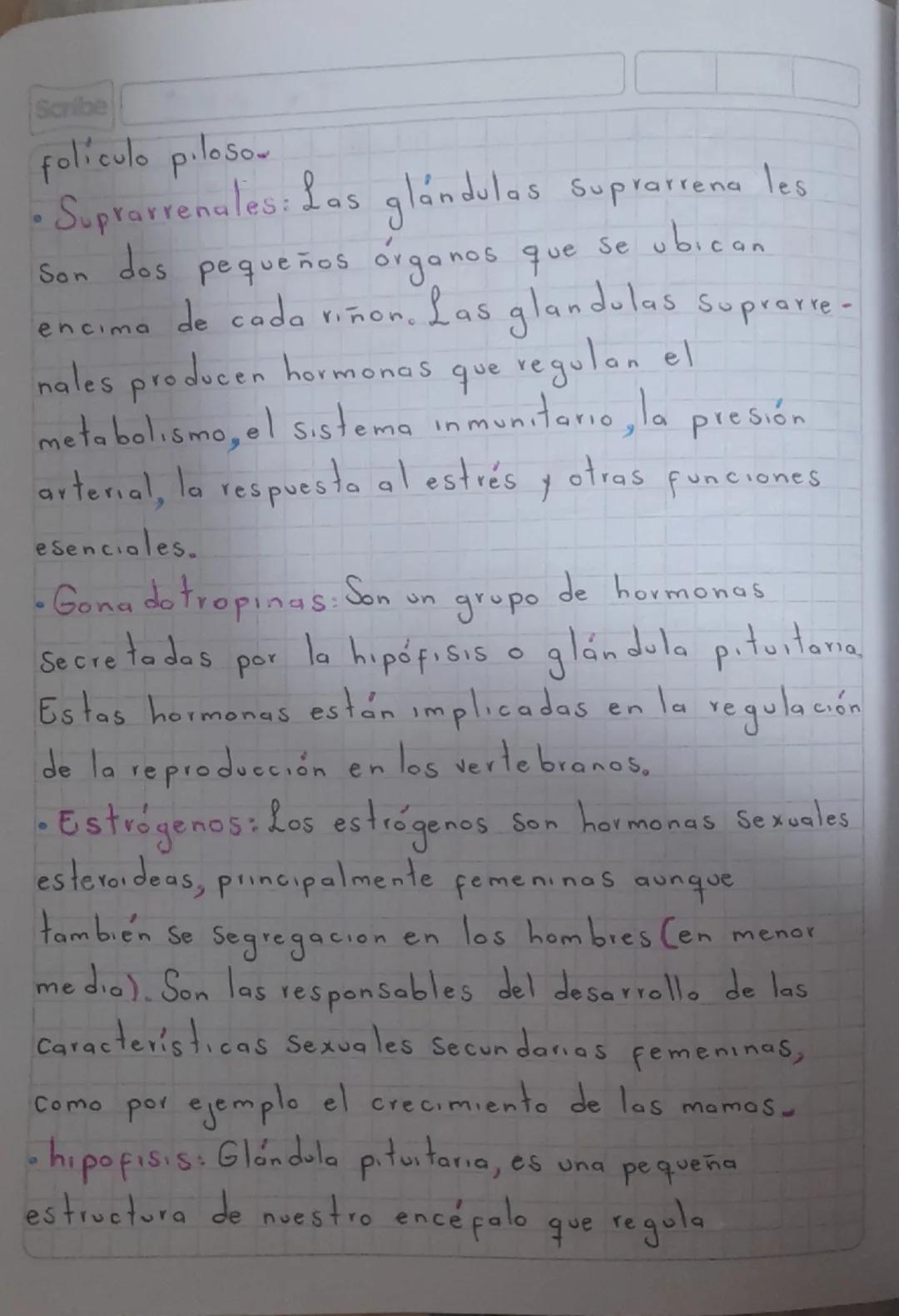 0
Taller 1 Scribe
Sistema
endocrino
0
1) Buscar el significado de las palabras
desconocidas:
• Actividad endocrina: es la reproducción y
Sec