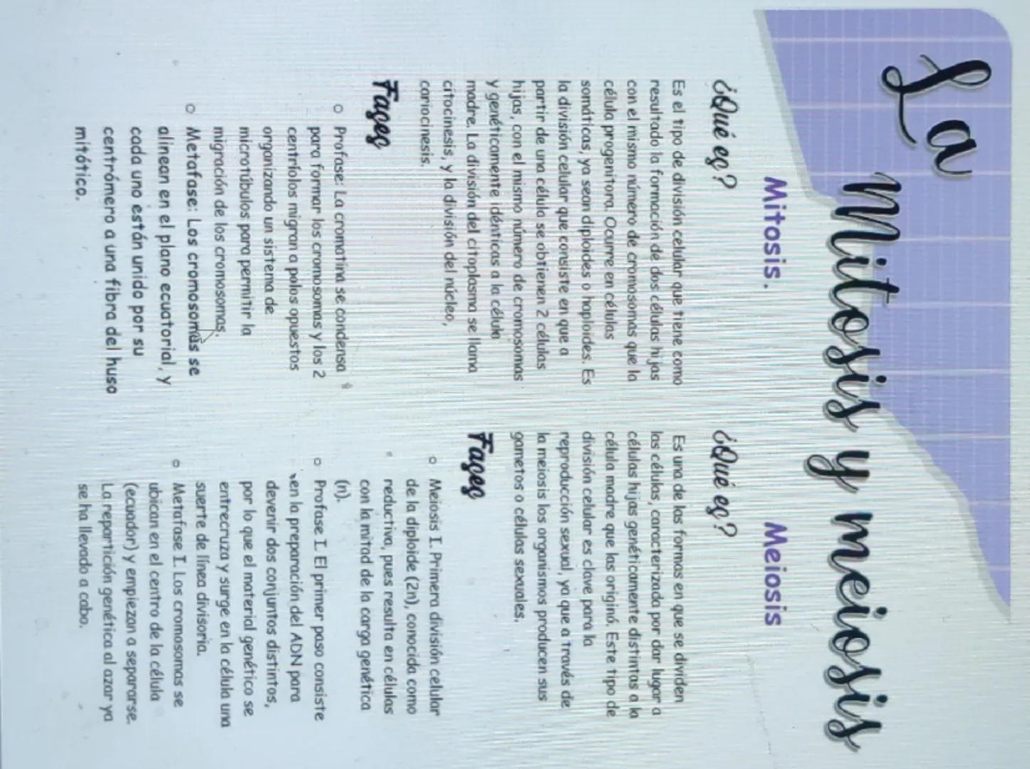 # La
Mitosis y meiosis
Mitosis.
¿Qué es?
Es el tipo de división celular que tiene como
resultado la formación de dos células hijas
con el