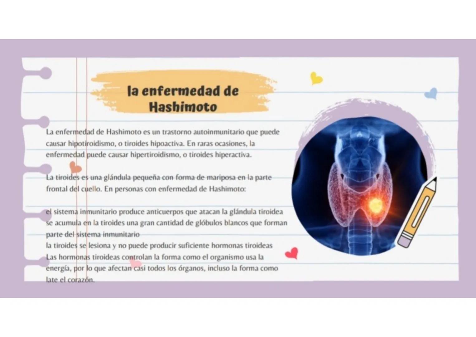 sistema endocrino
El sistema endocrino está formado por
órganos especializados del SNC
(hipotálamo y glándula pineal), glándulas
endocrinas
