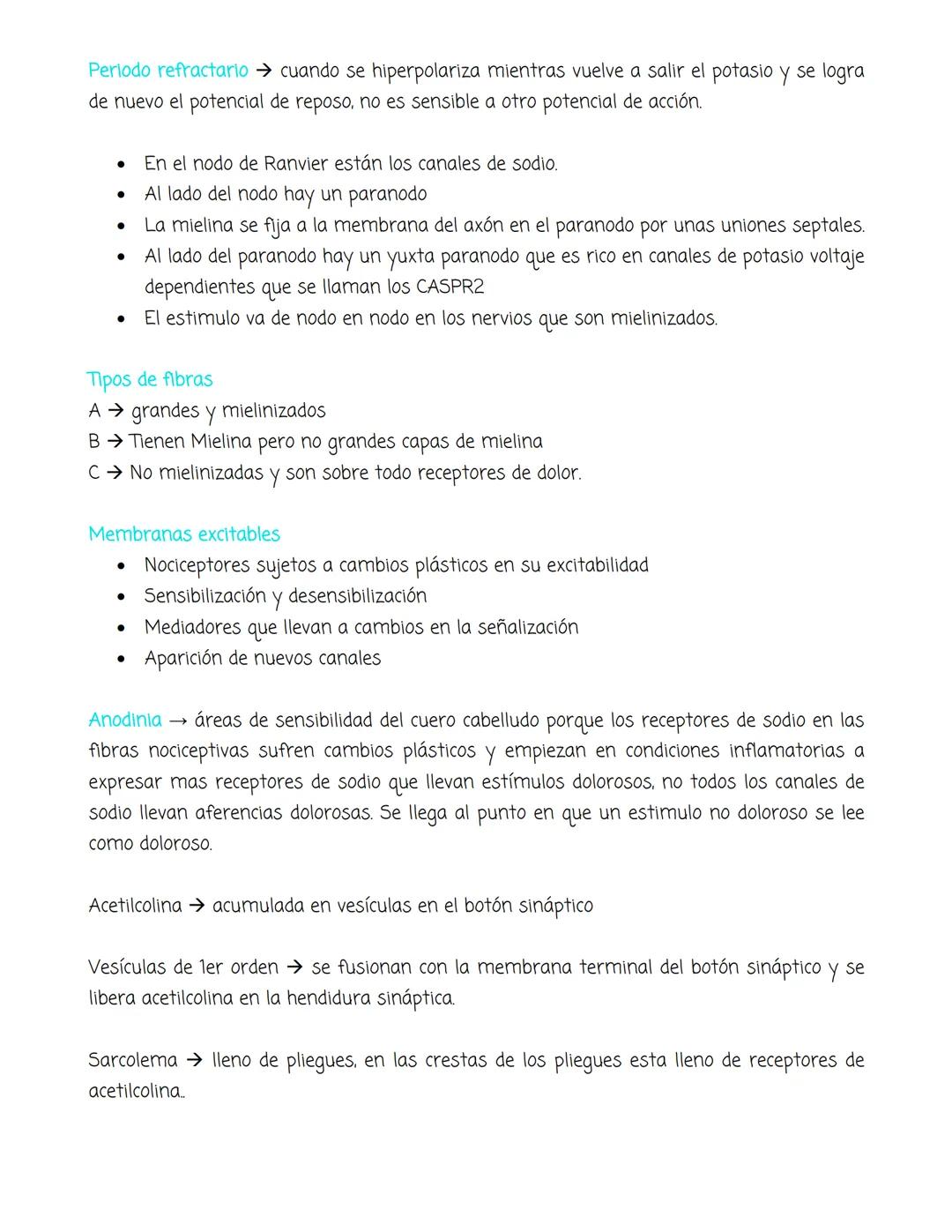 # NERVIO Y MÚSCULO
- El nervio se compone de varios axones, los axones están cubiertos por endonervio
- Un conjunto de axones forman un fas