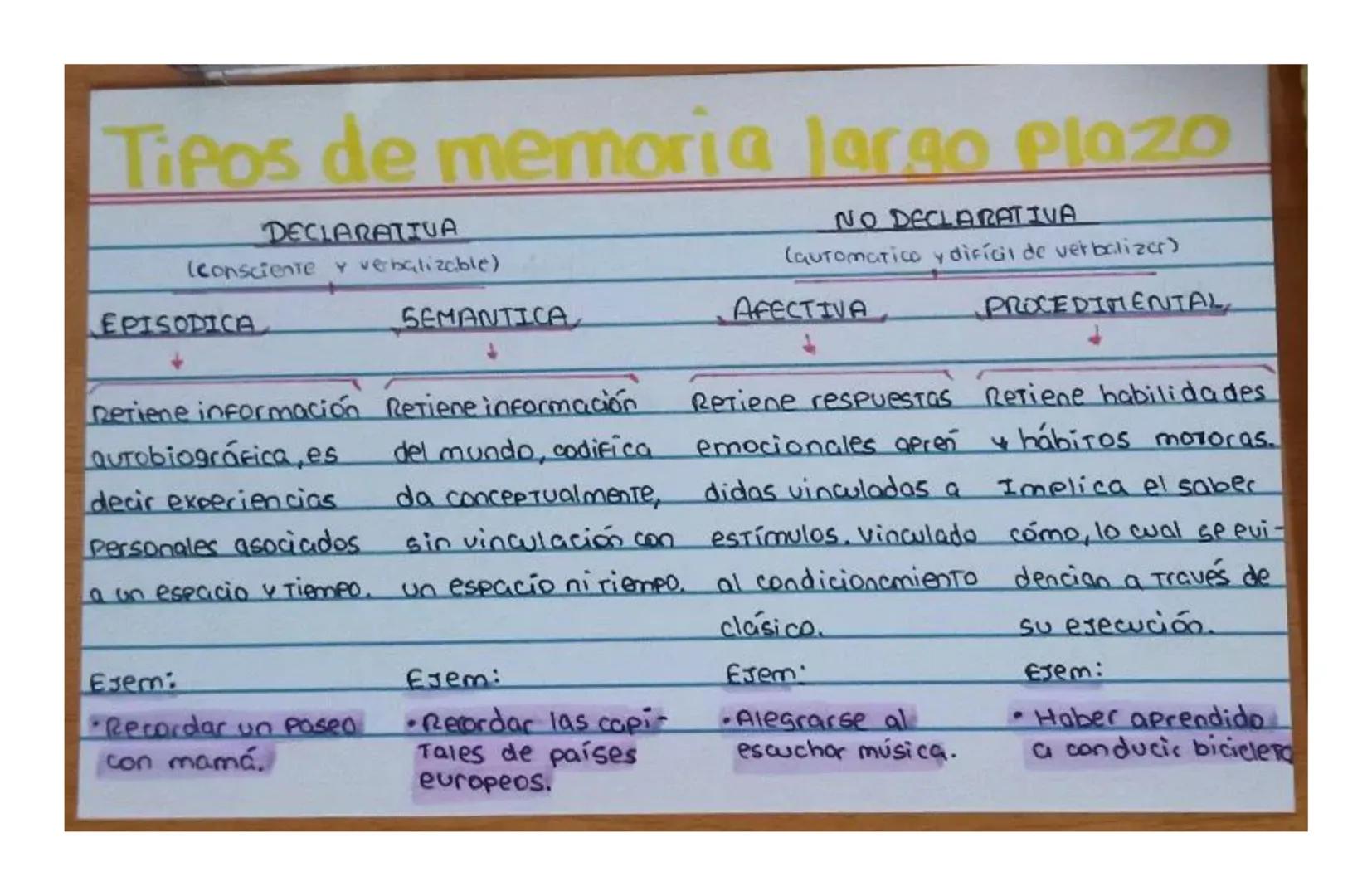 Tipos de memoria largo plazo
DECLARATTUA
(consciente y verbalizable)
EPISODICA
SEMANTICA
NO DECLARATIVA
(automatico y difícil de verbalizer)