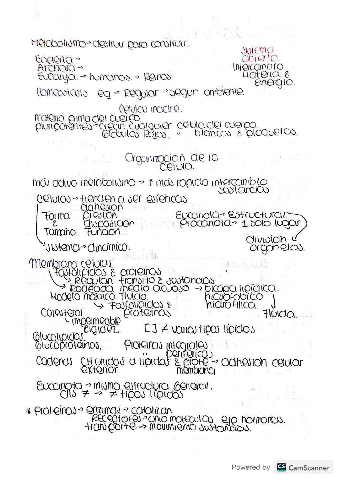 Cuaderno Biología Pre-med