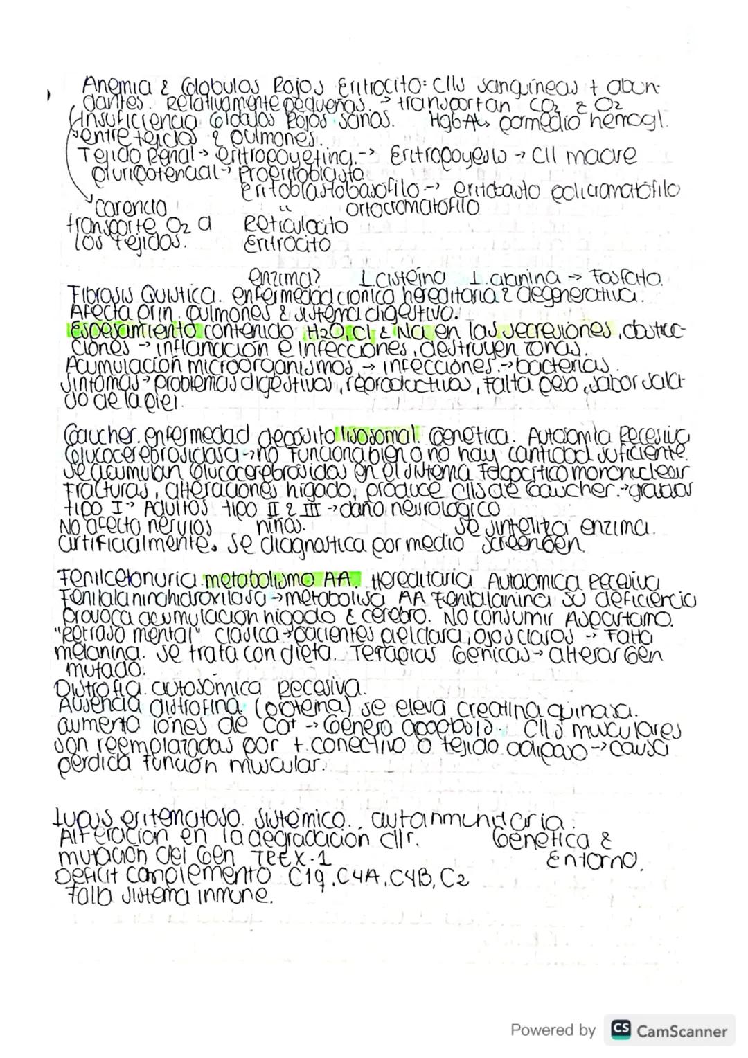 Metabolismo-destruer cara construir.
bacena -
Archora-
Eucarya.- humanos. » Reinos.
Julema
Cibierto.
Intercambio
Matena &
Energia
Homeoutaul