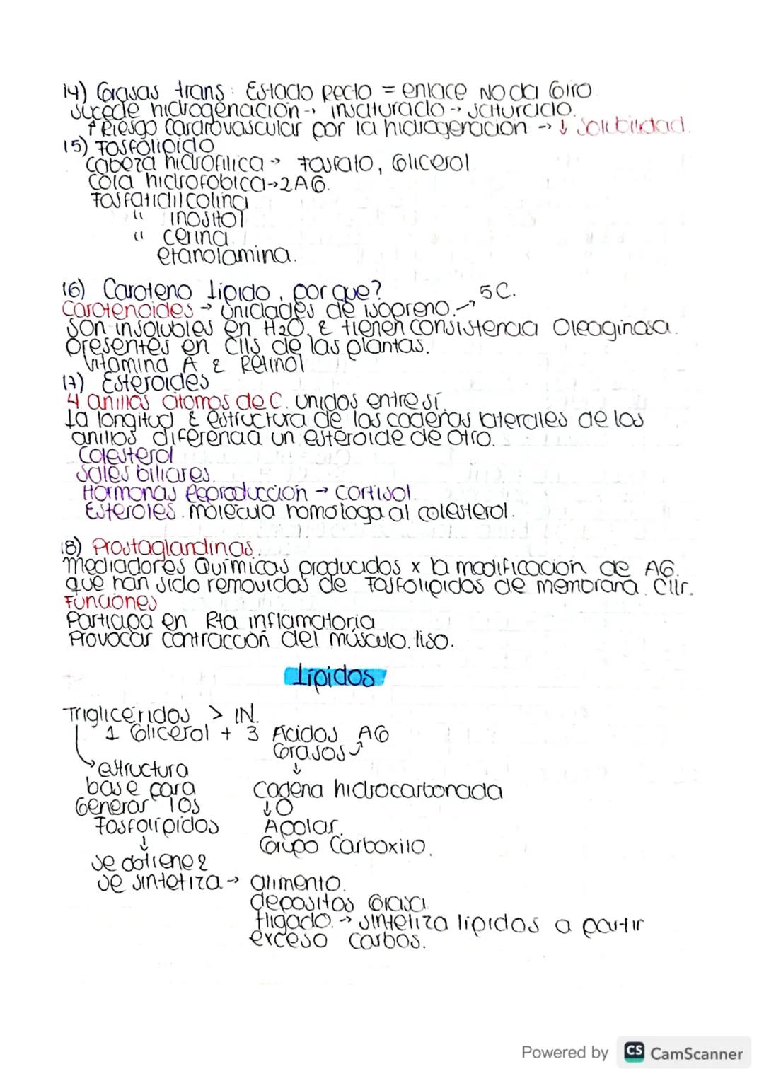 Metabolismo-destruer cara construir.
bacena -
Archora-
Eucarya.- humanos. » Reinos.
Julema
Cibierto.
Intercambio
Matena &
Energia
Homeoutaul